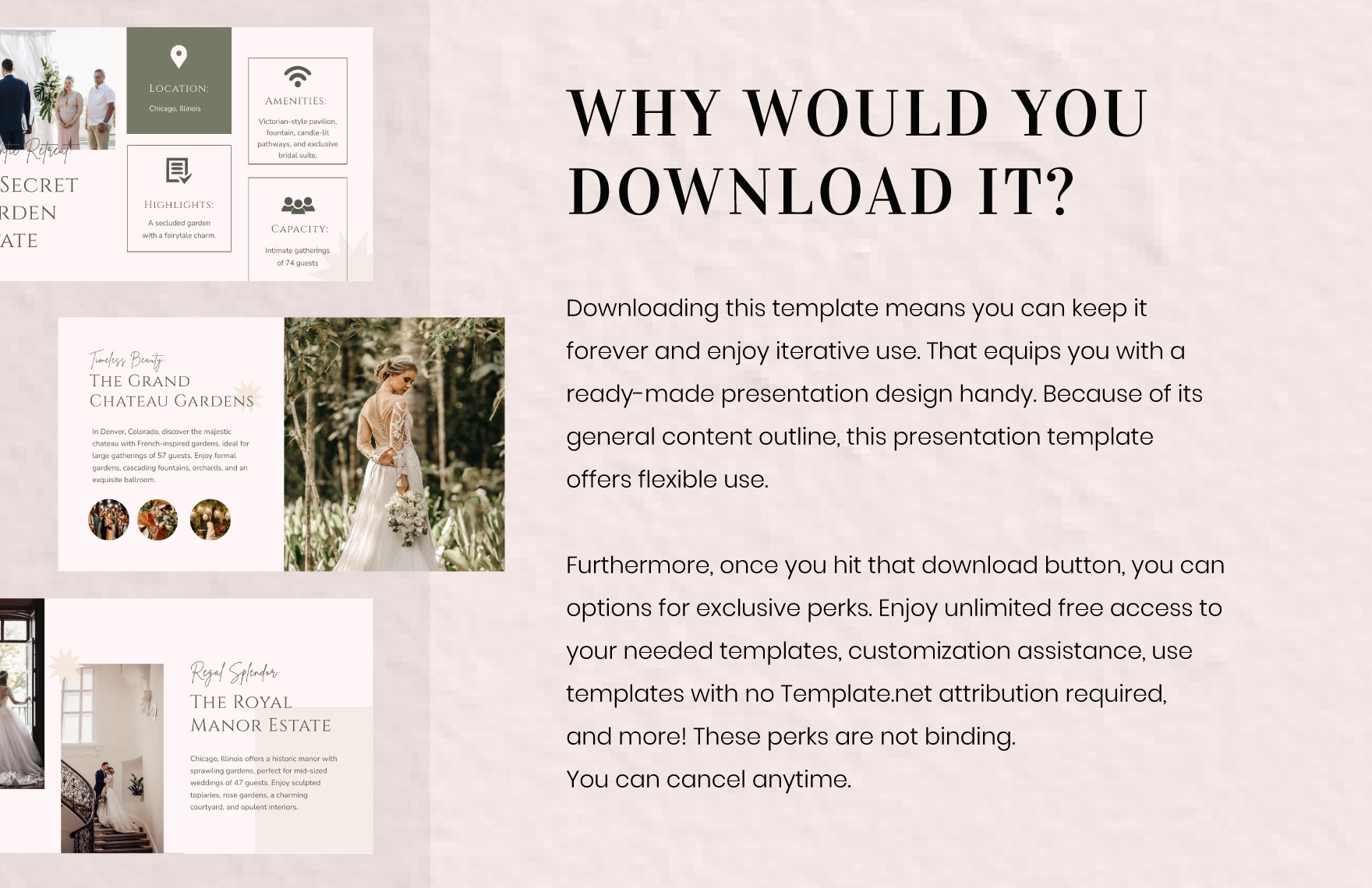 Free Luxury Presentation Template to Edit Online