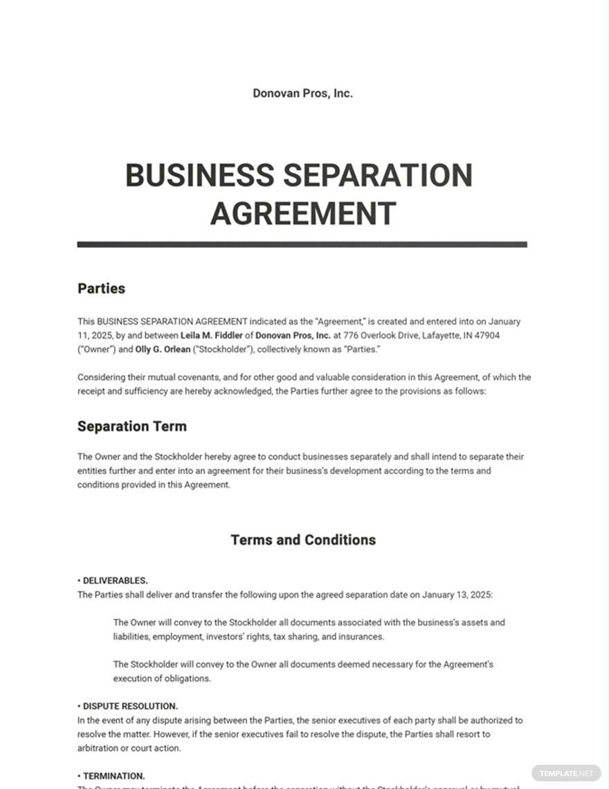 Business Separation Agreement Template