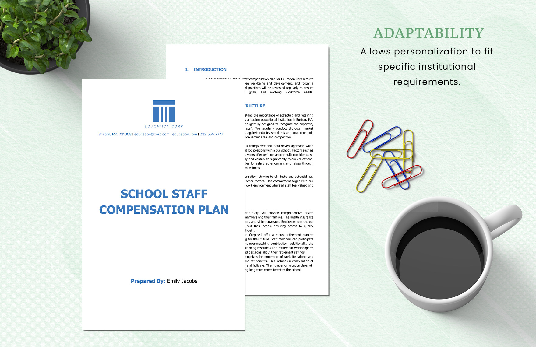 School Staff Compensation Plan Template