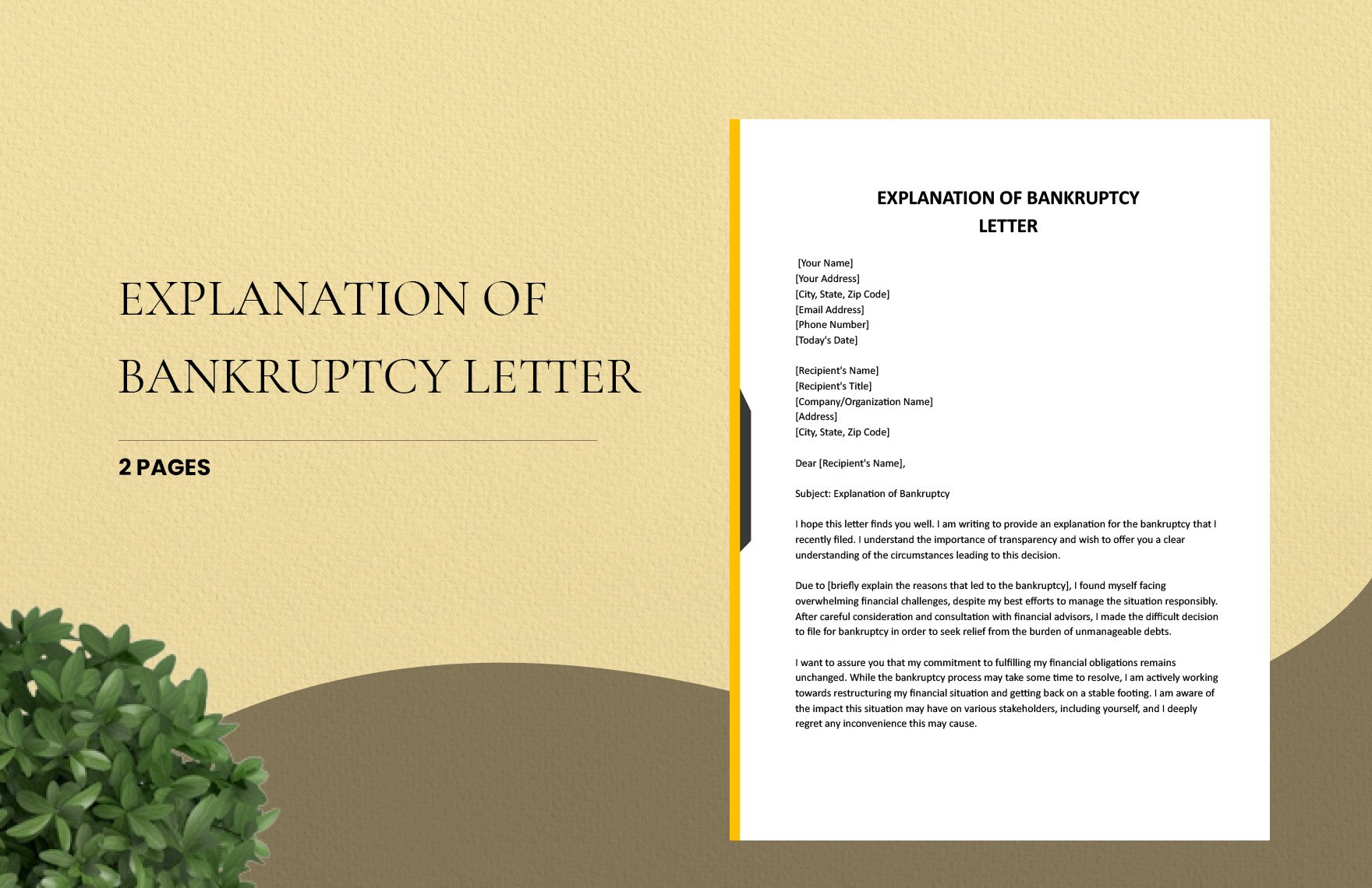 Explanation Of Bankruptcy Letter in Word, Google Docs, Apple Pages