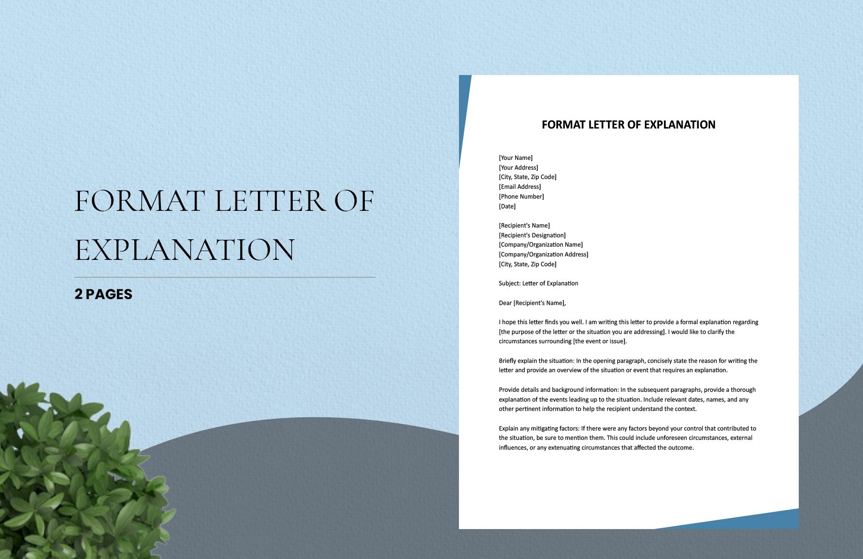 Format Letter Of Explanation