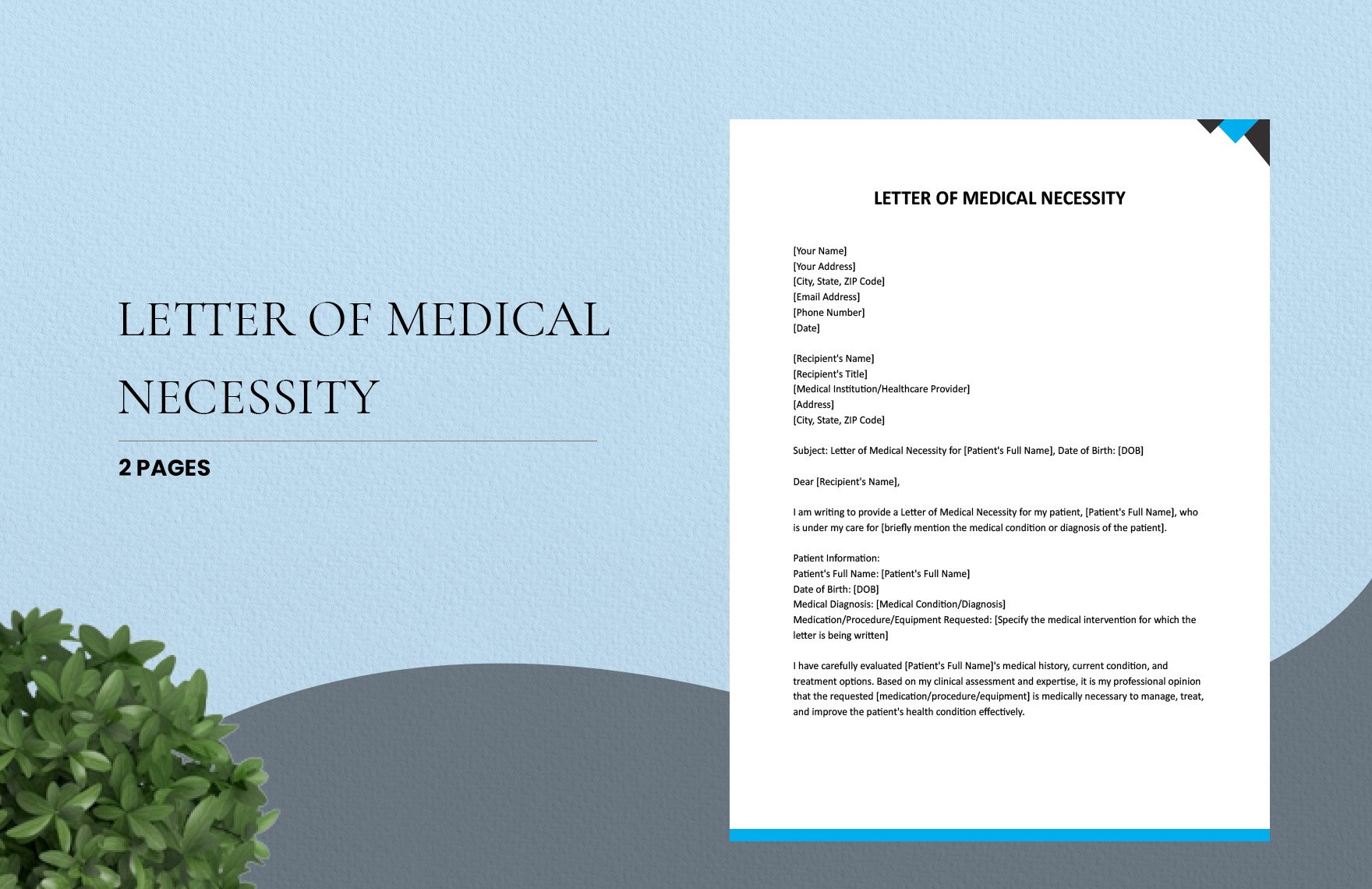 Letter Of Medical Necessity in Word, Google Docs, Apple Pages
