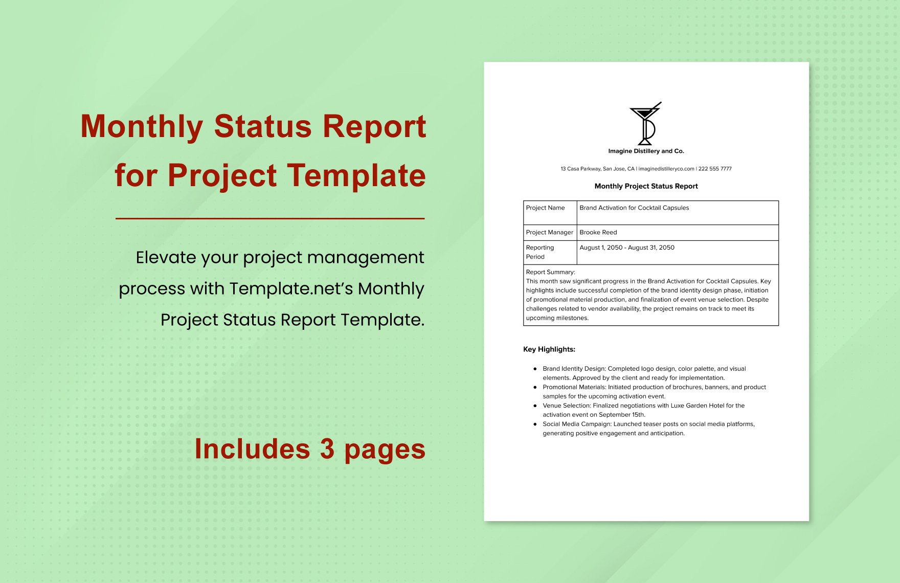 Monthly Status Report for Project Template