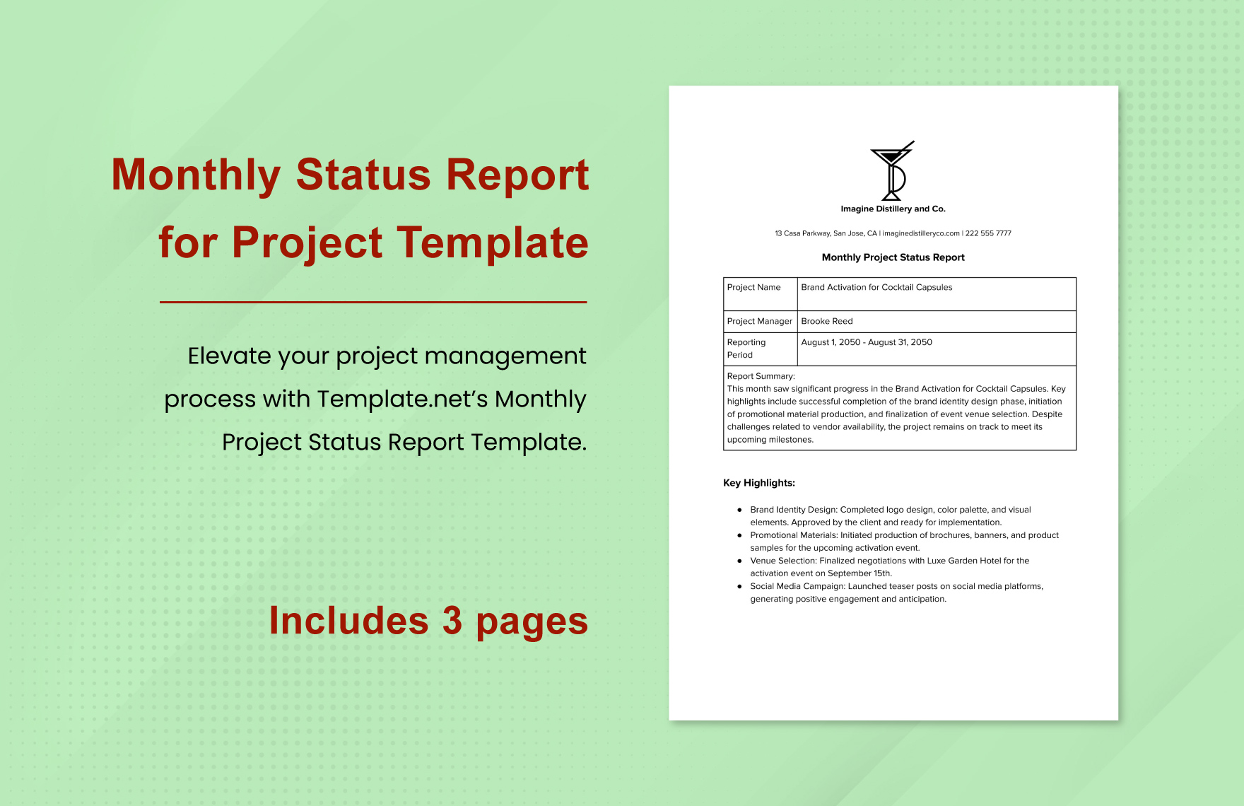 Monthly Status Report for Project Template in Word, Google Docs, PDF