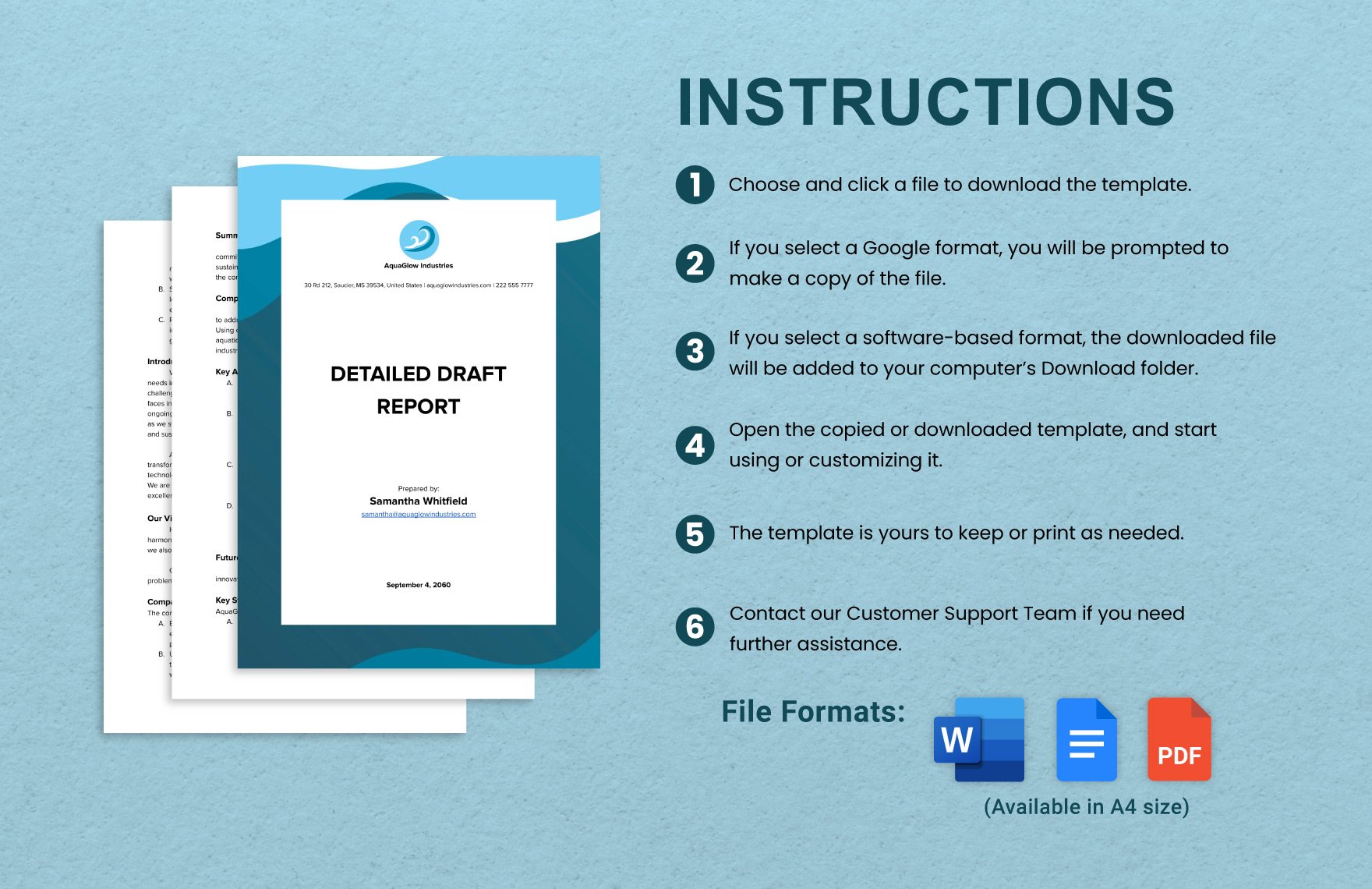 Detailed Draft Report Template