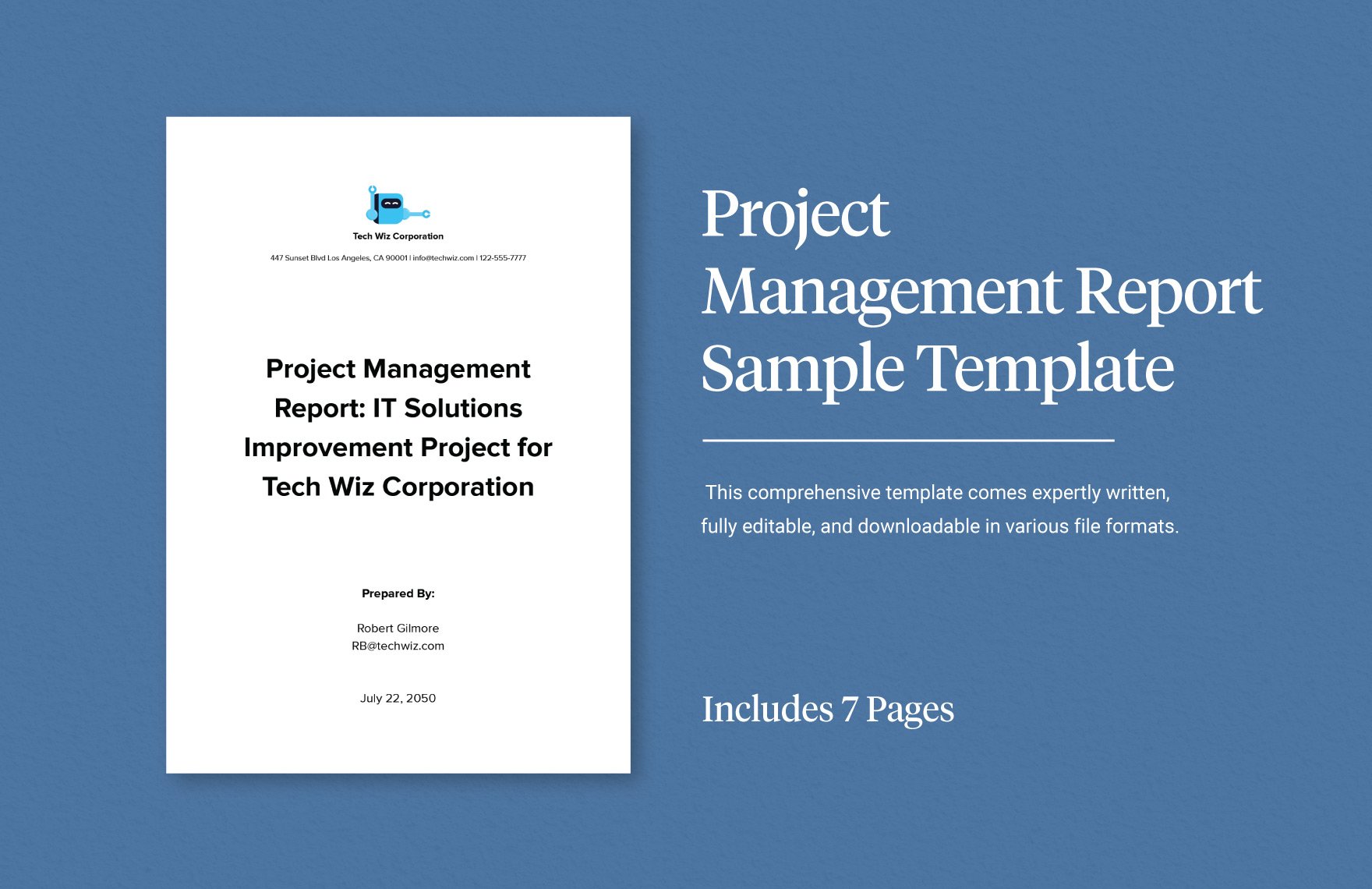 Project Management Report Sample Template