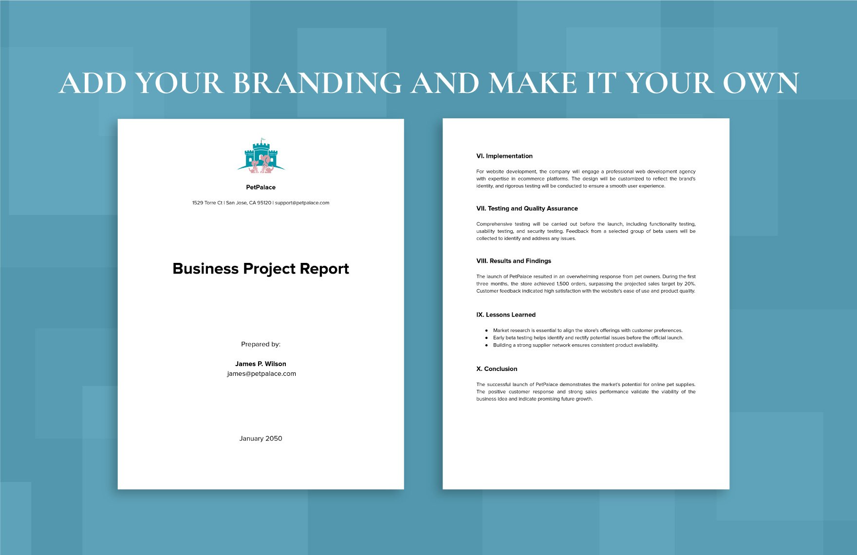 Business Project Reports Template