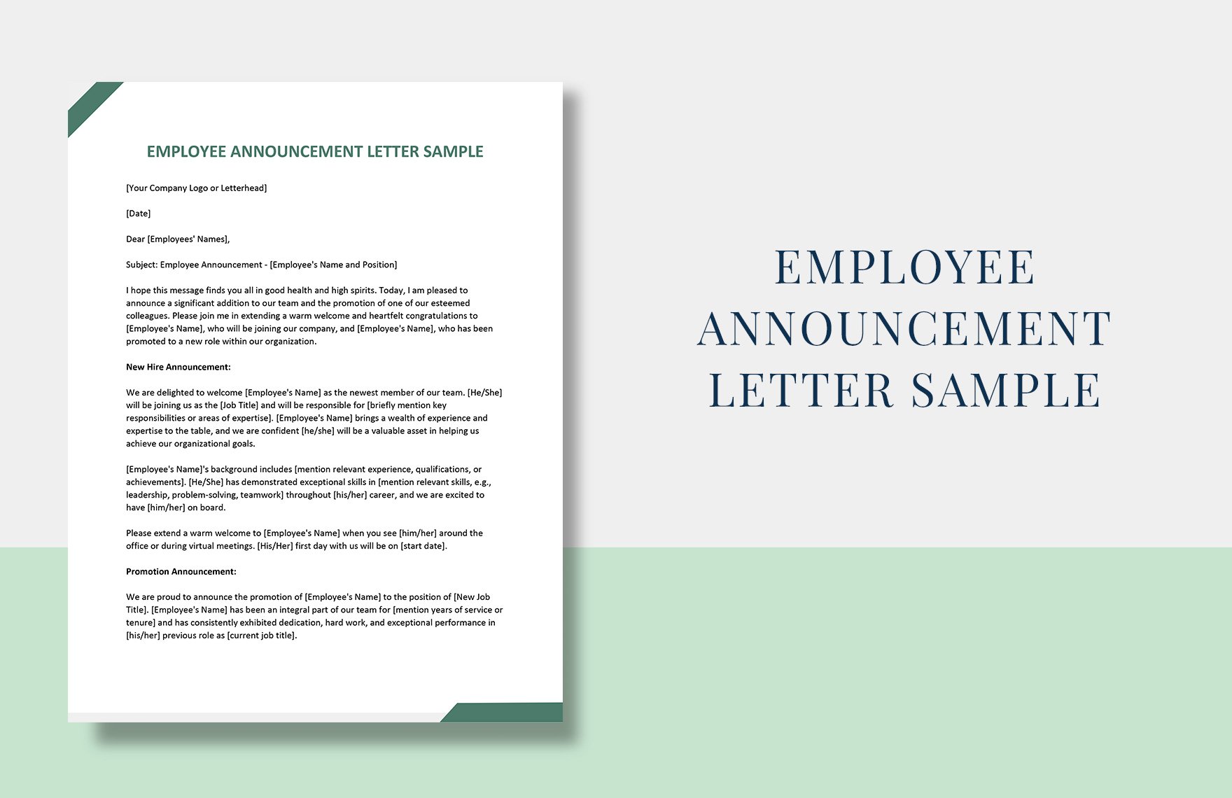 Employee Announcement Letter Sample