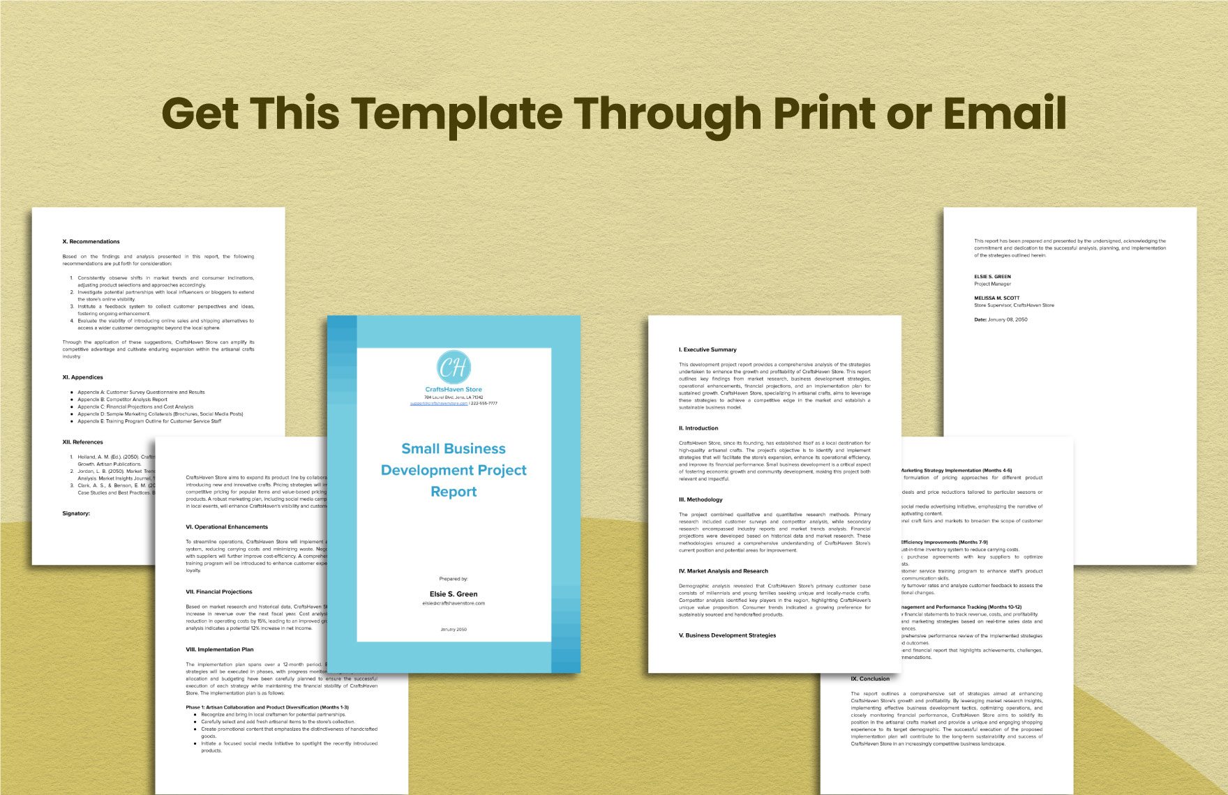Small Business Development Project Template