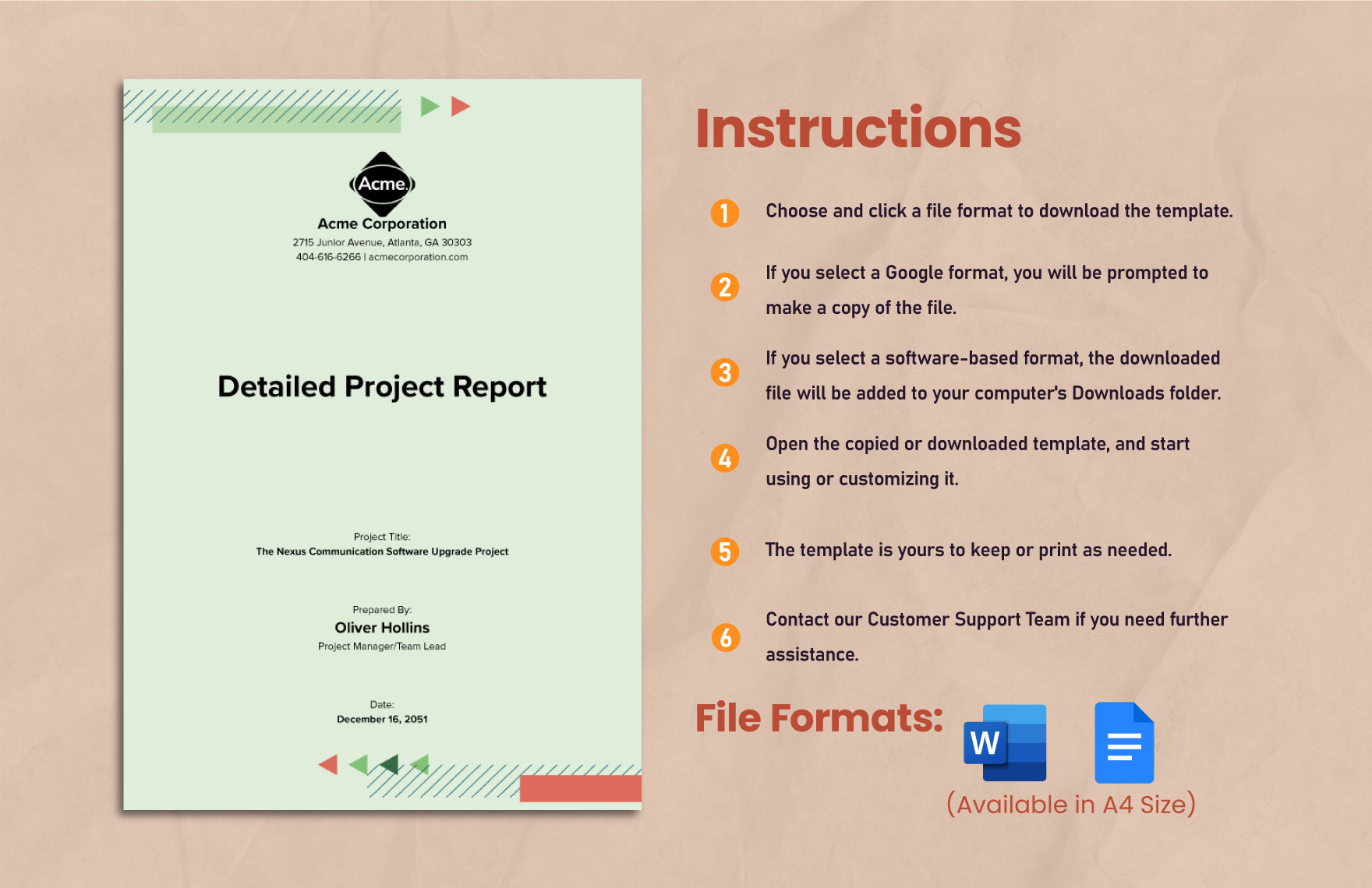 Detailed Project Report Example Template