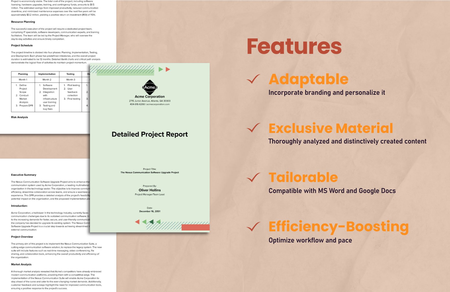 Detailed Project Report Example Template