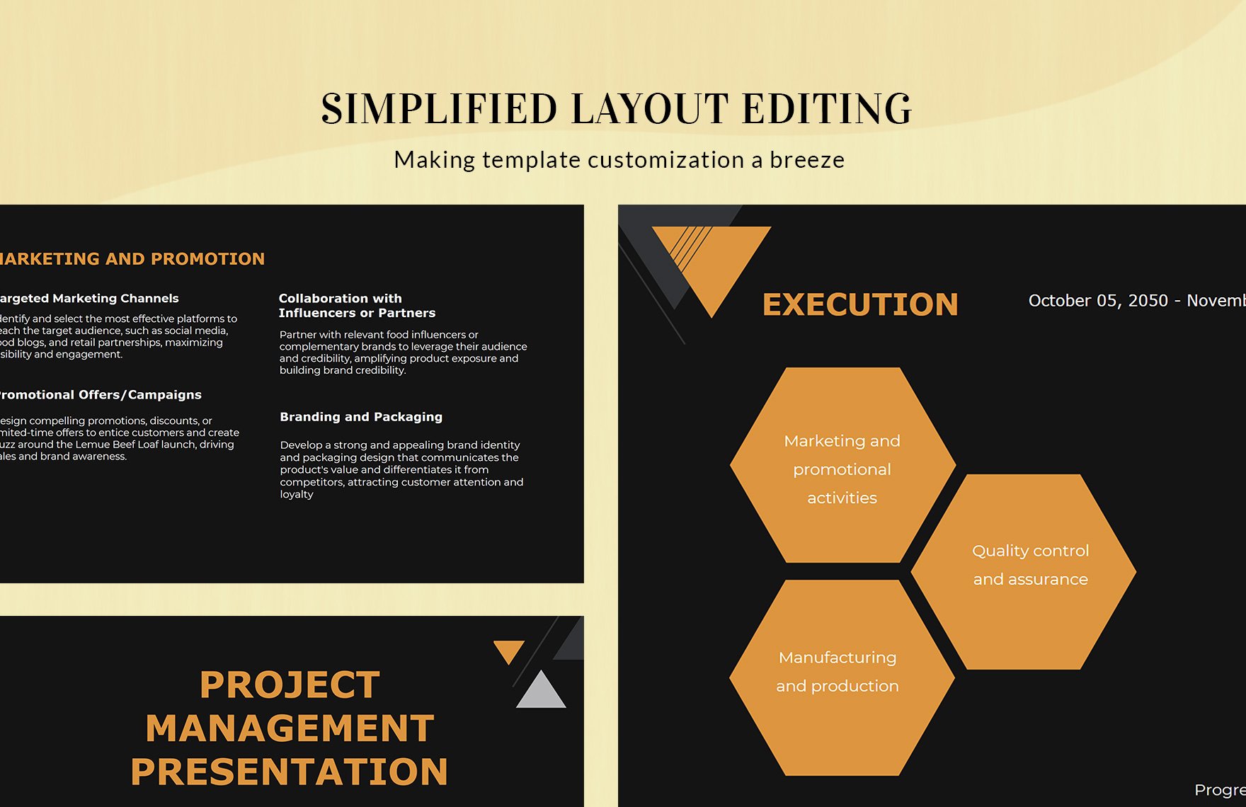 Project Management Presentation Template