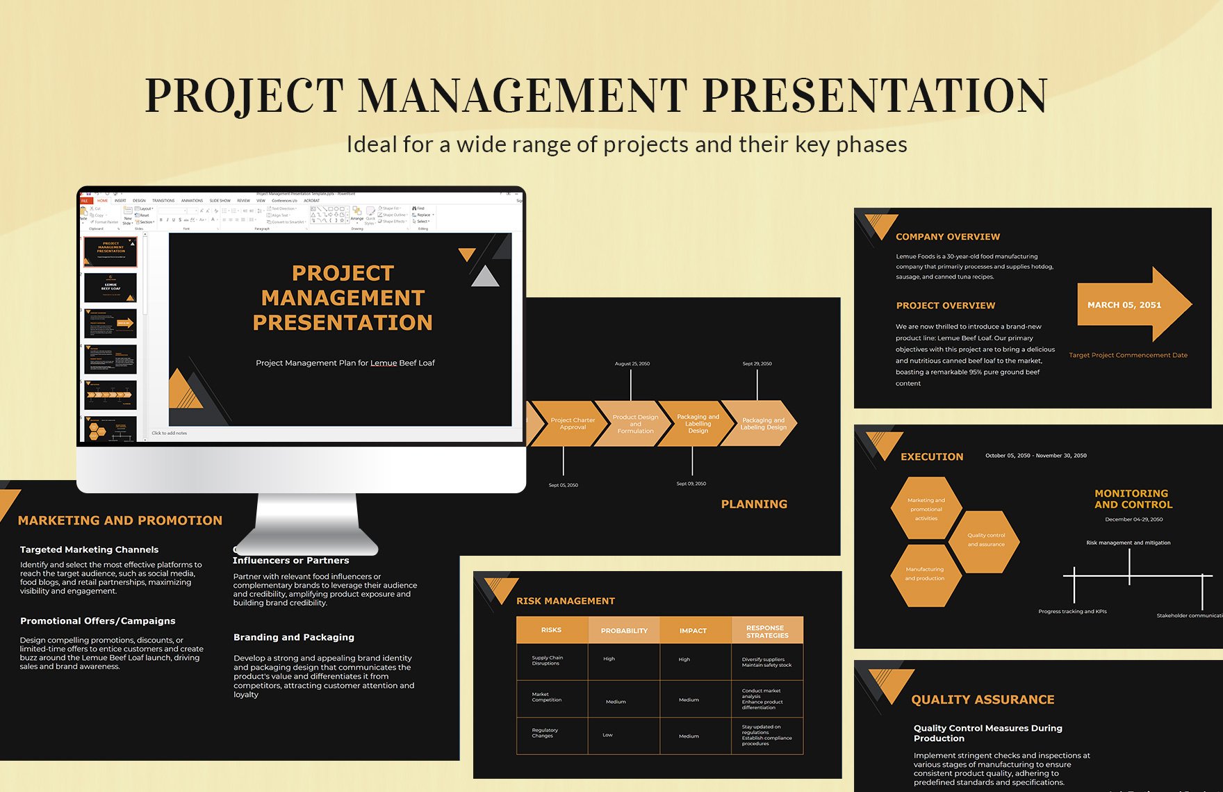 Project Management Presentation Template 