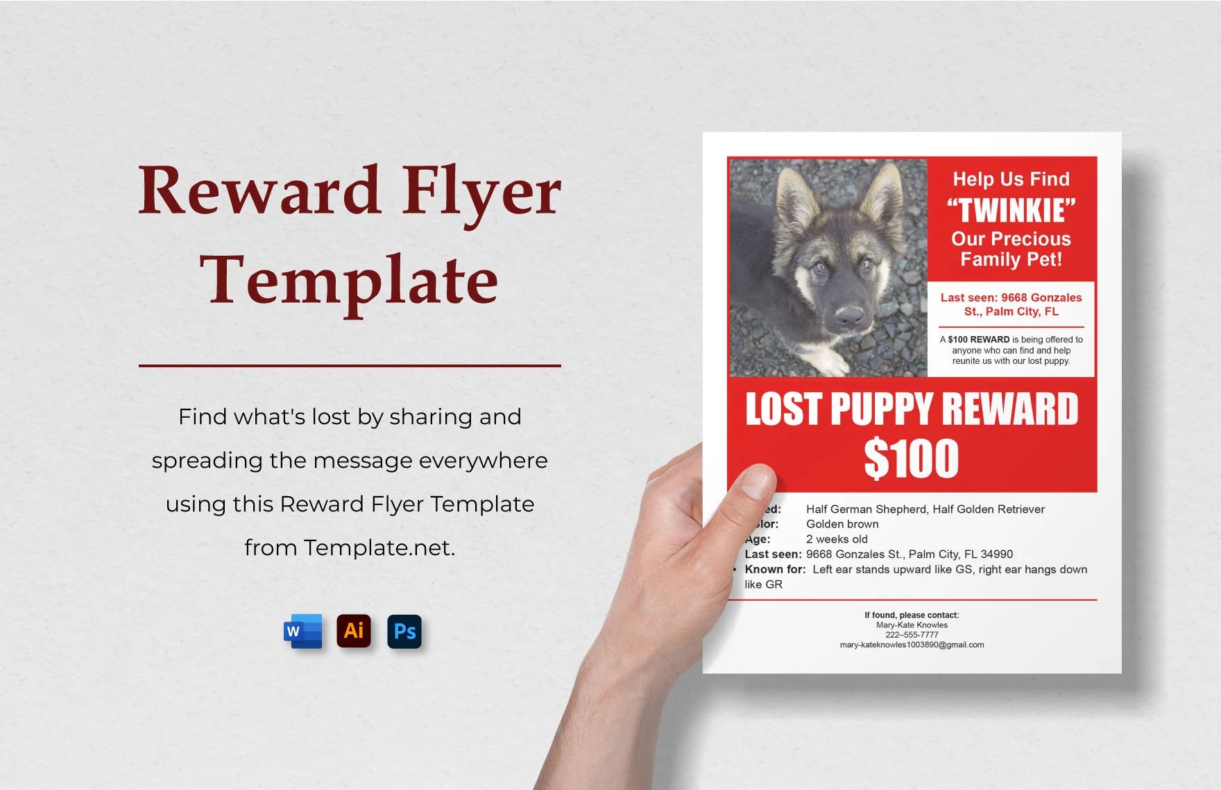 Reward Flyer Template