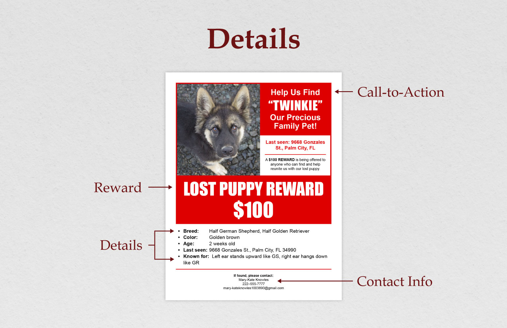 Reward Flyer Template