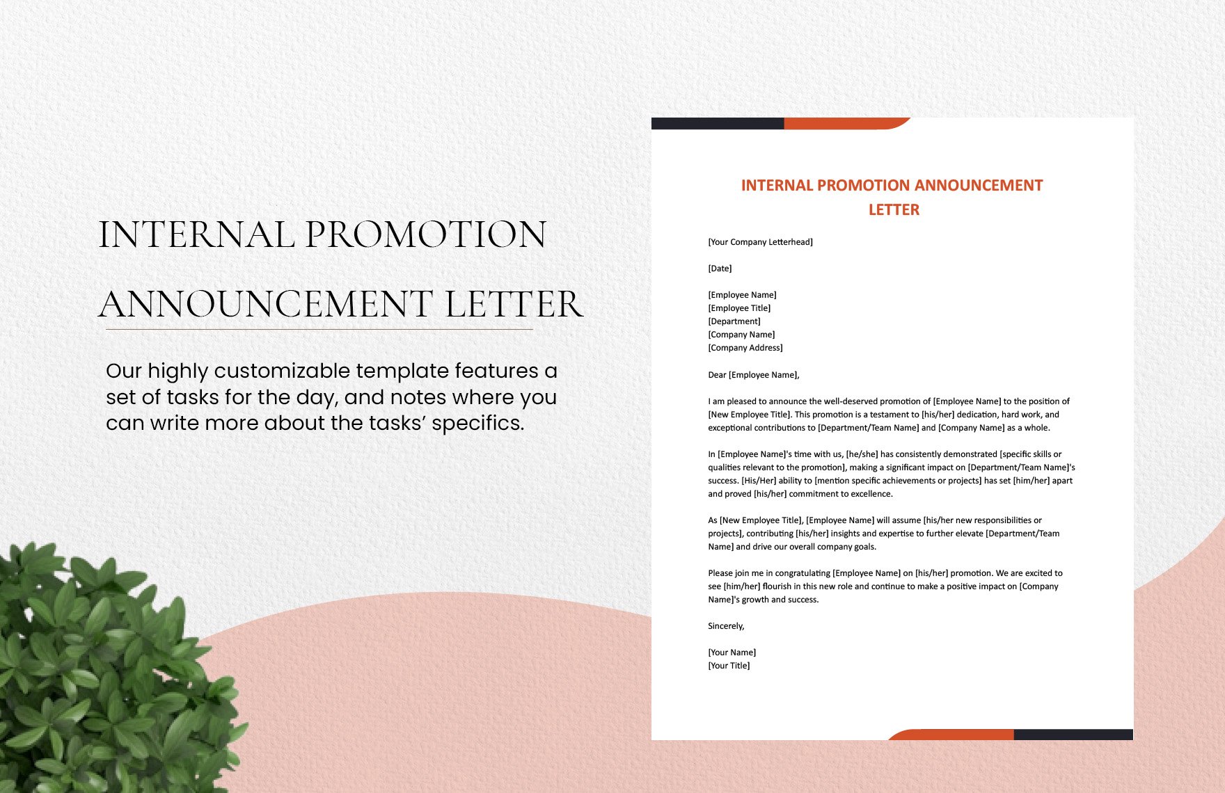 Internal Promotion Announcement Letter