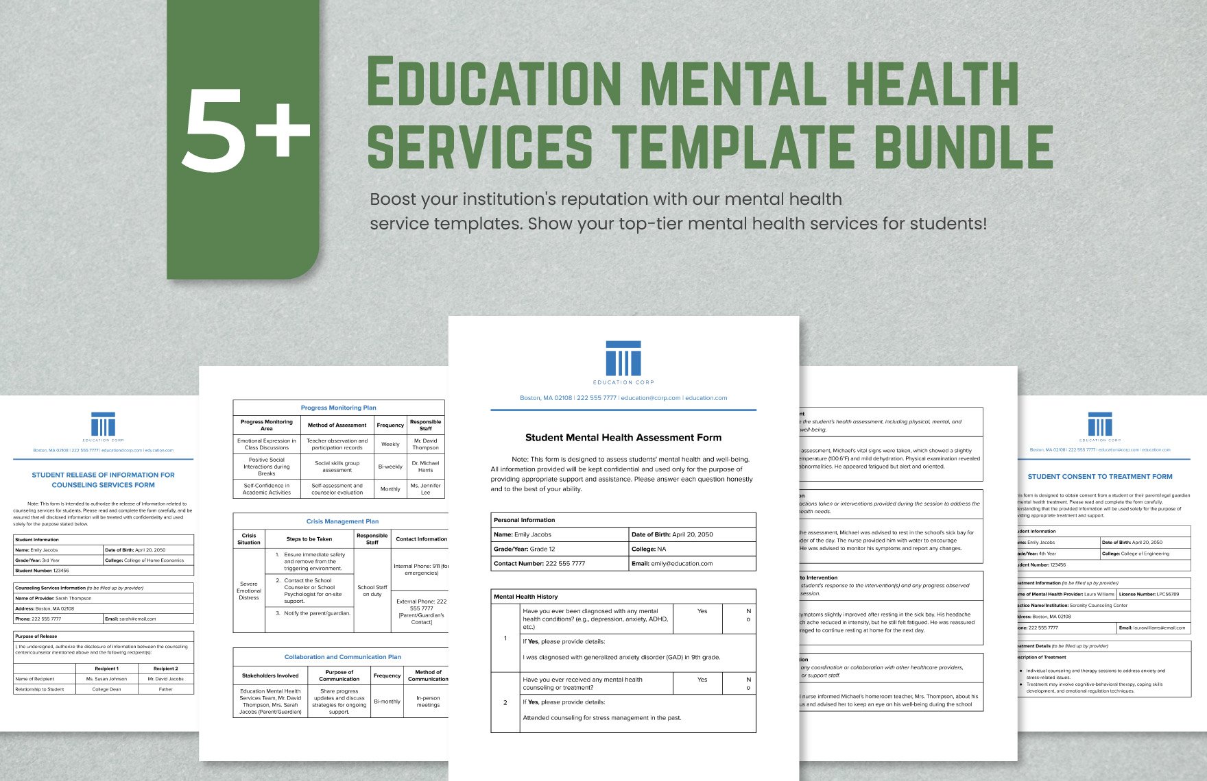 5+ Education Mental Health Services Template Bundle