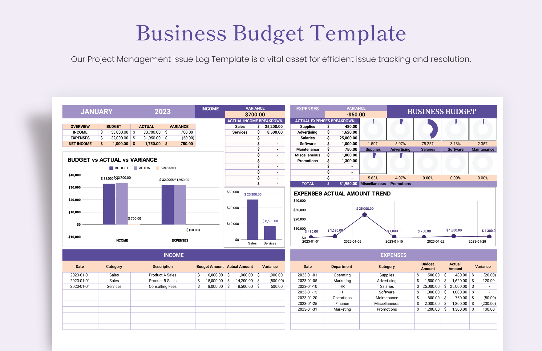 Business Budget Template
