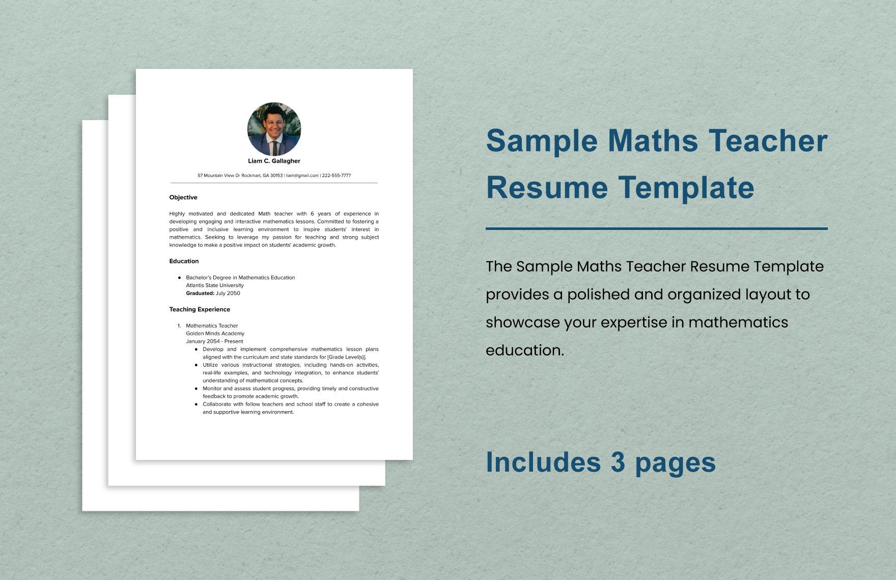 Sample Maths Teacher Resume Template