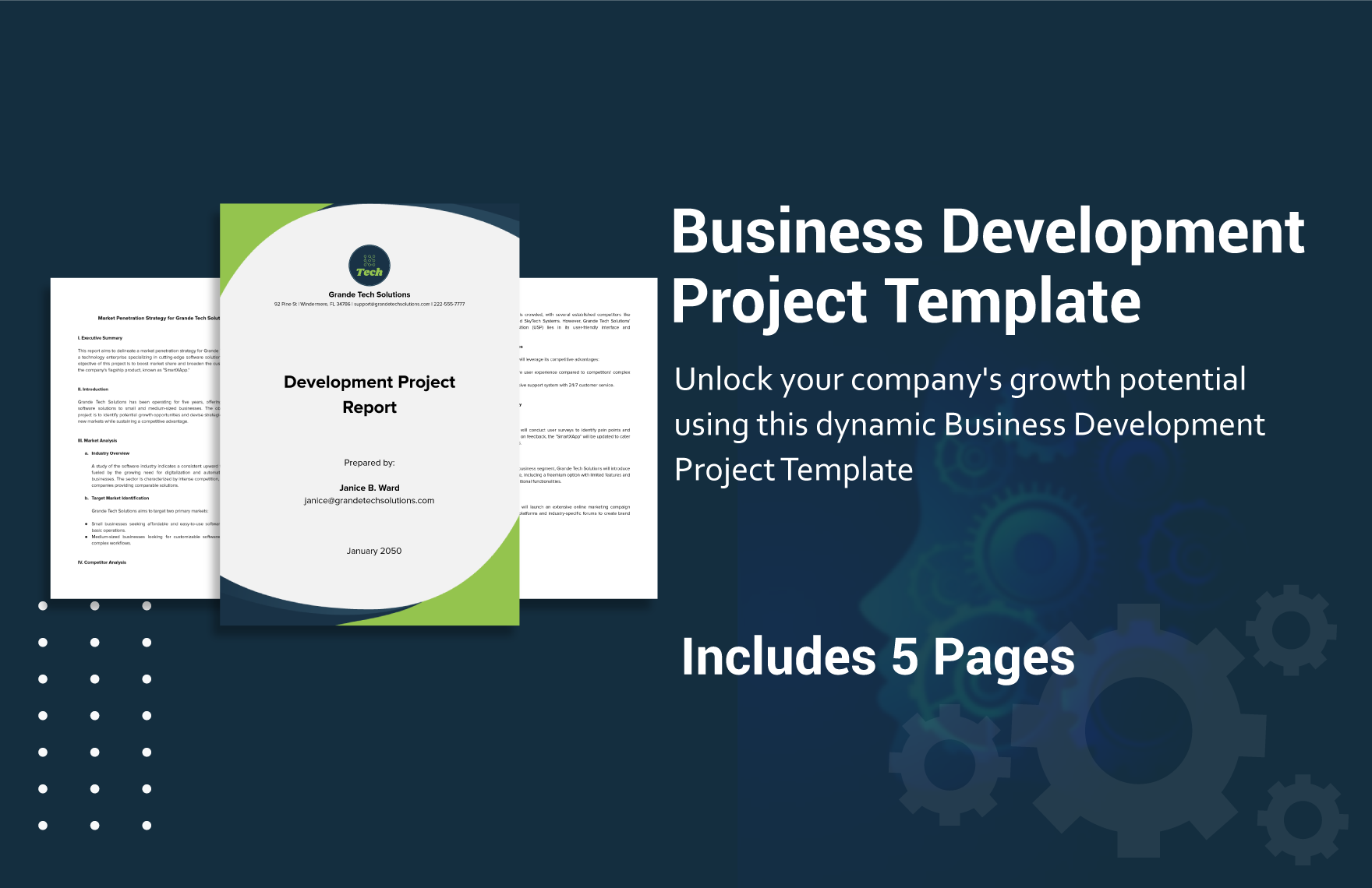 Business Development Project Template