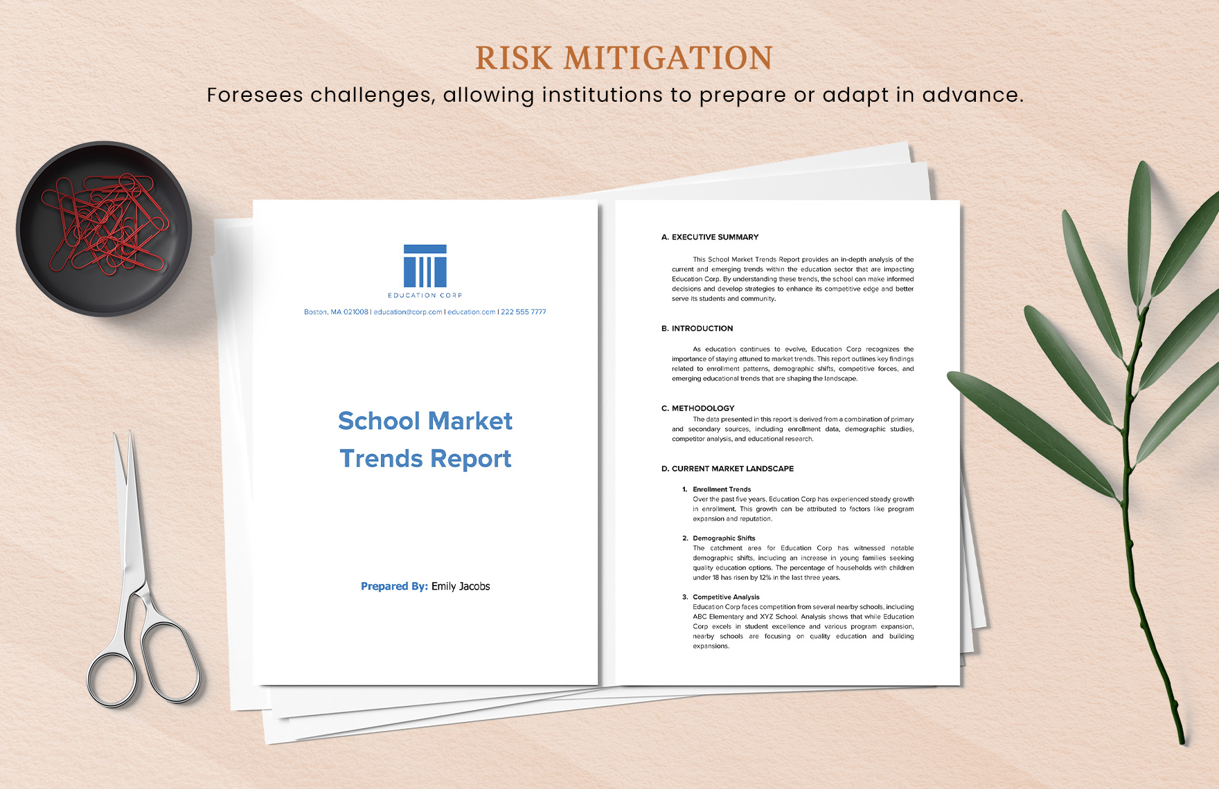 School Market Trends Report Template