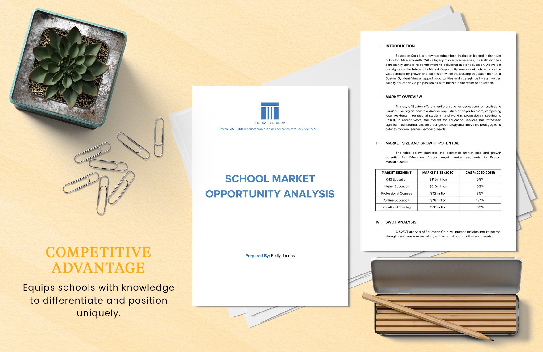 School Market Opportunity Analysis Template