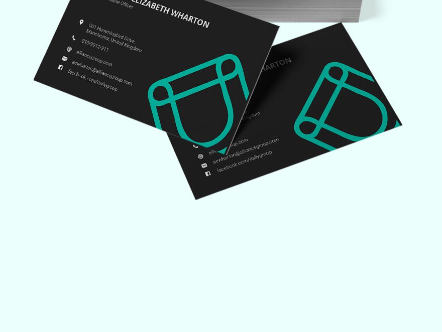 Simple CEO Business Card