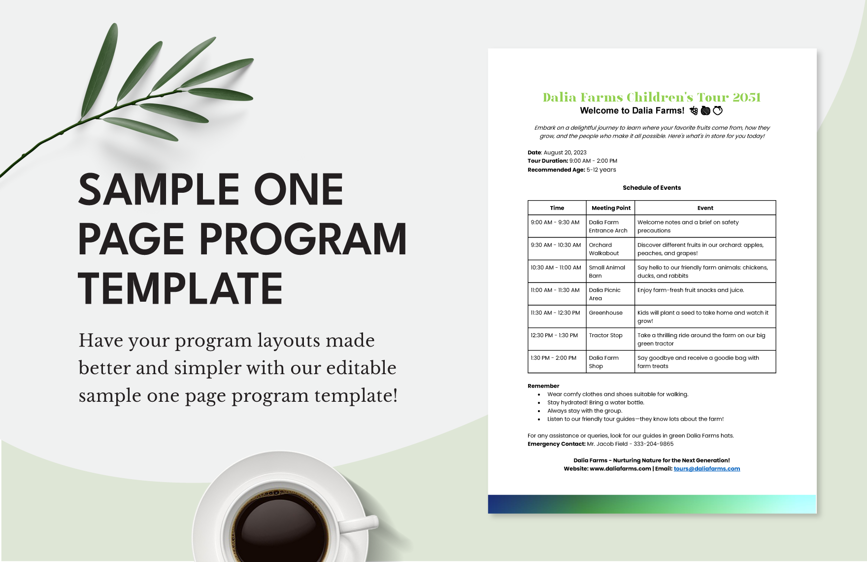 Sample One Page Program Template