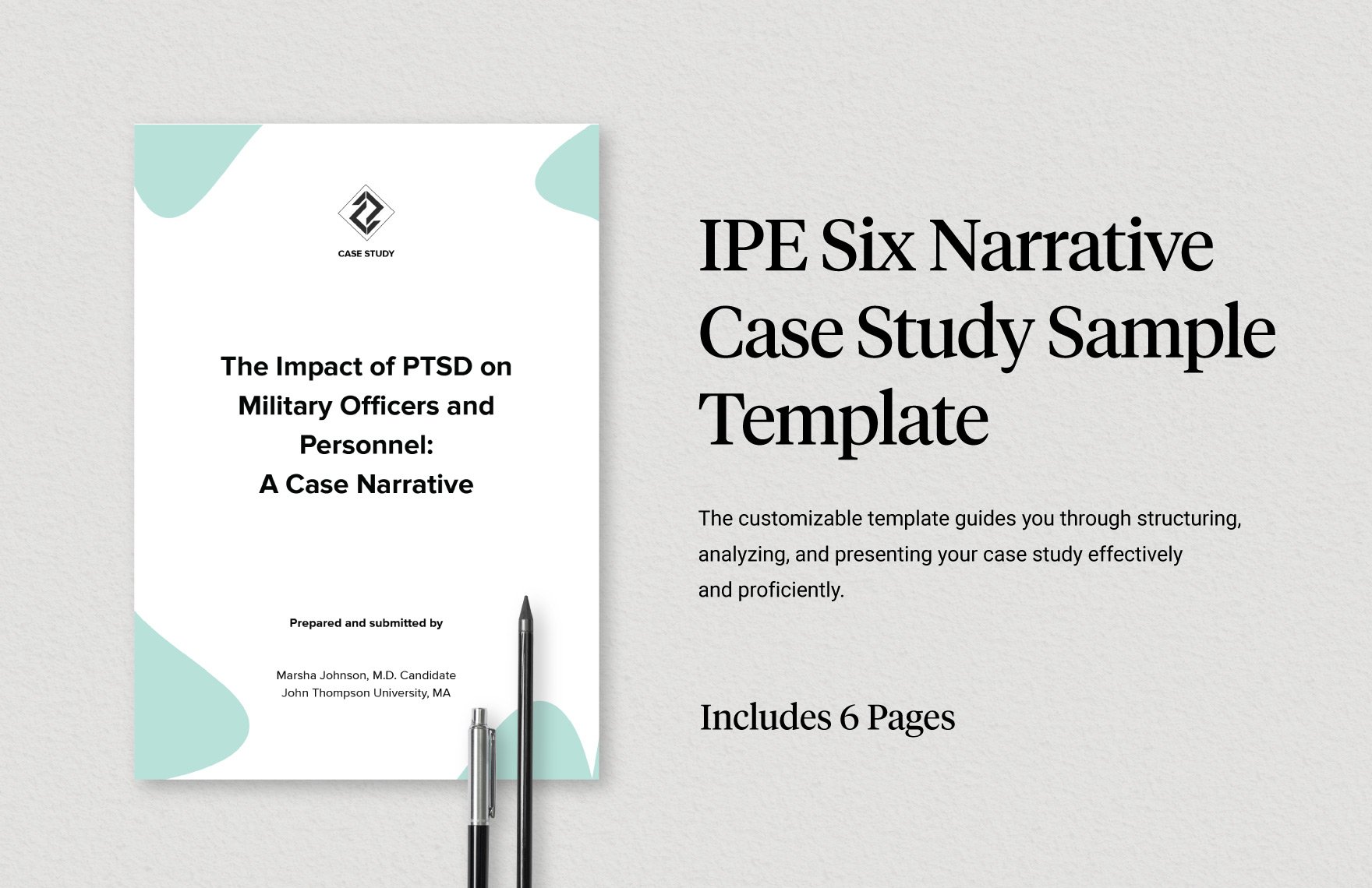 IPE Six Narrative Case Study Sample Template
