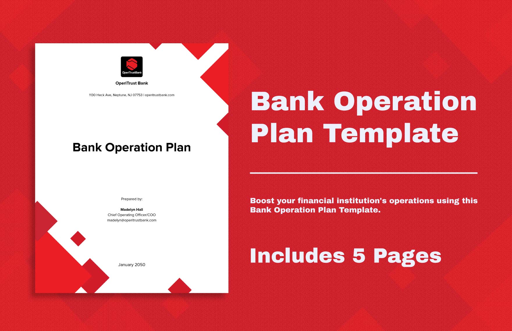 Bank Operation Plan Template in Word, Google Docs, PDF