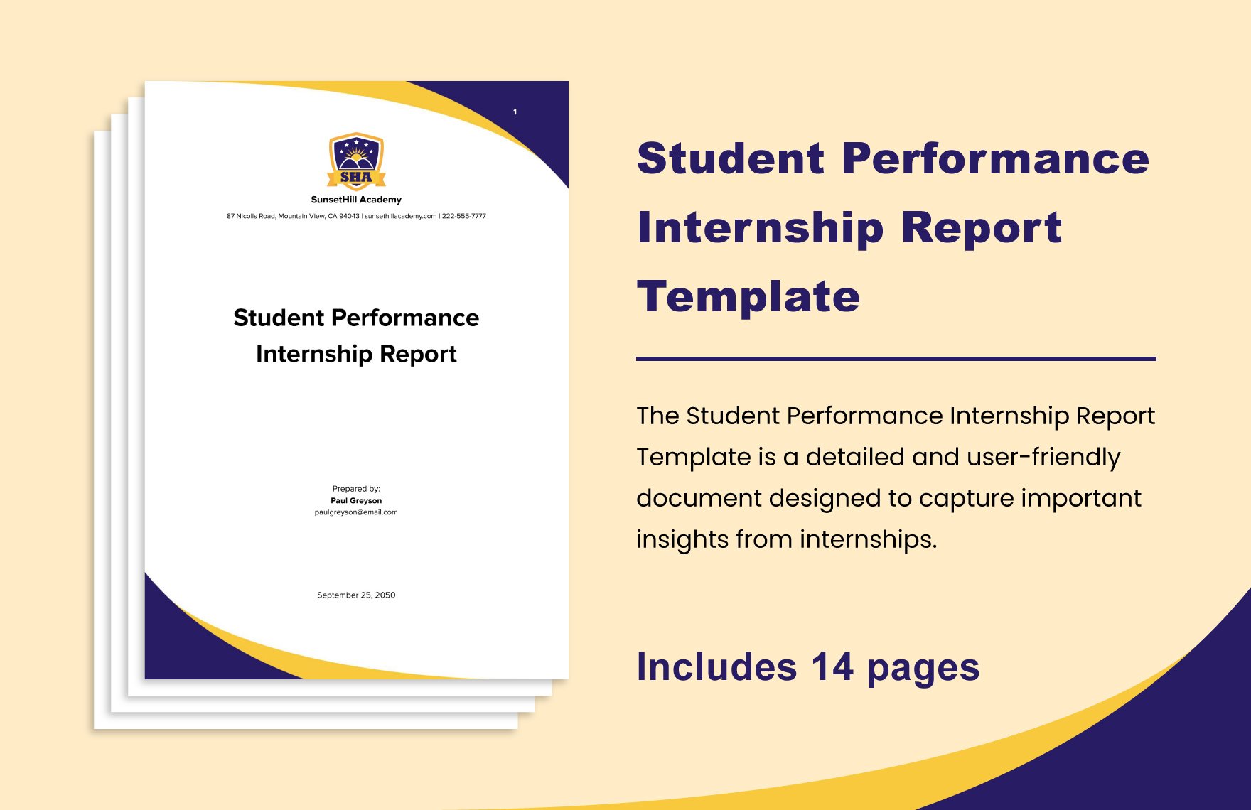 Student Performance Internship Report Template