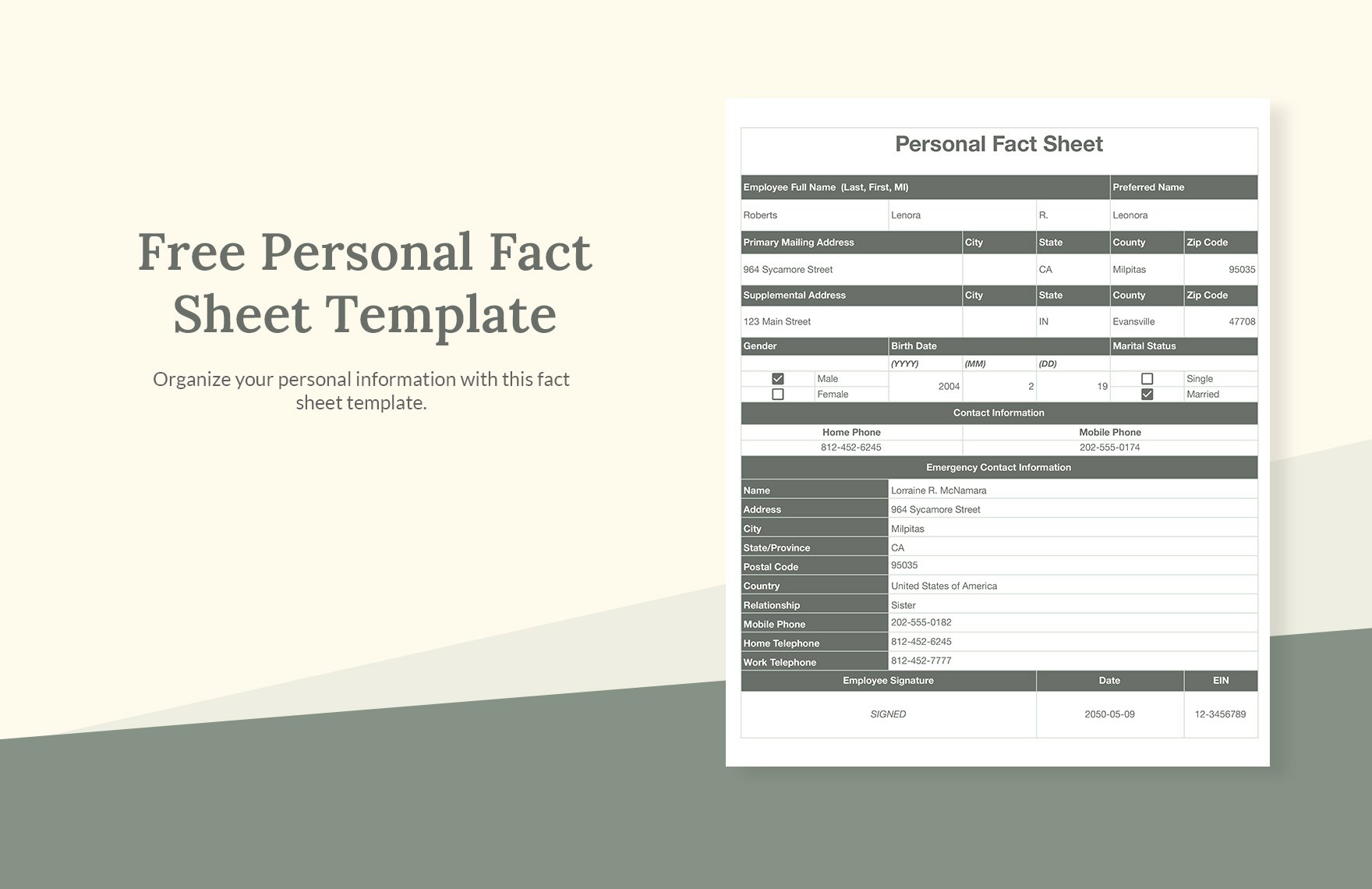 Personal Fact Sheet Template
