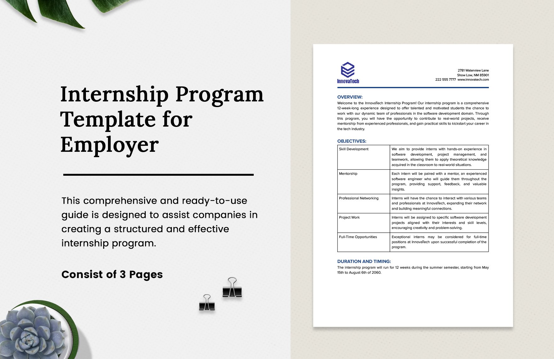 Internship Program Template for Employer Template