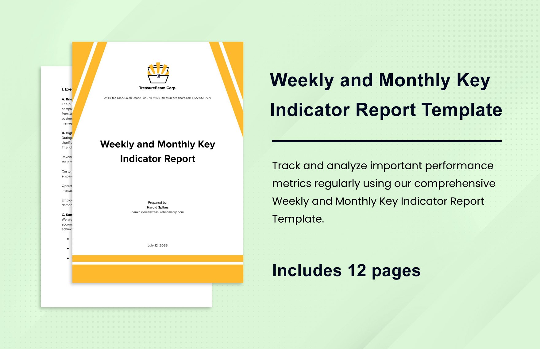 Weekly and Monthly Key Indicator Report Template