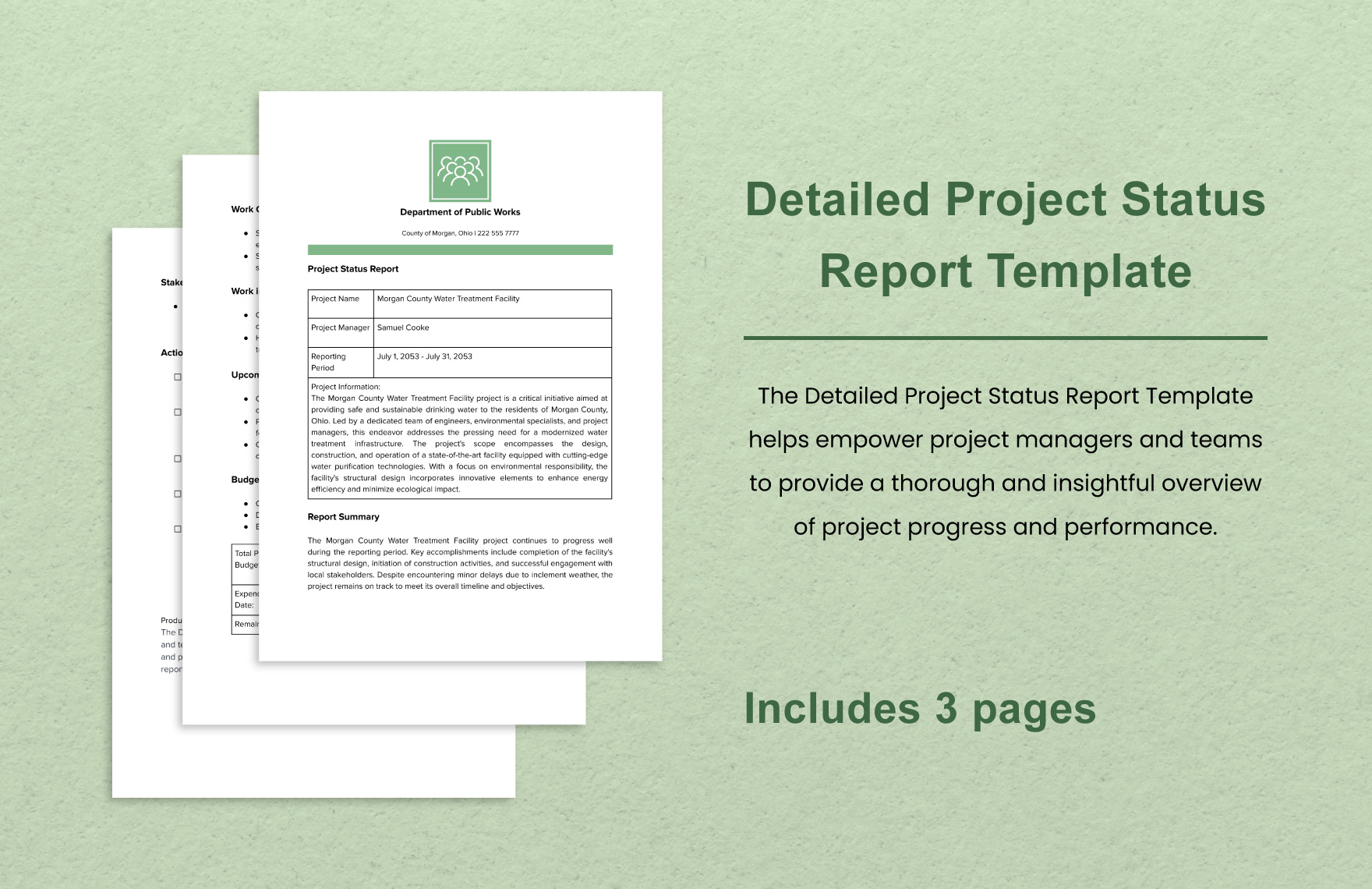 Detailed Project Status Report Template in Word, Google Docs, PDF