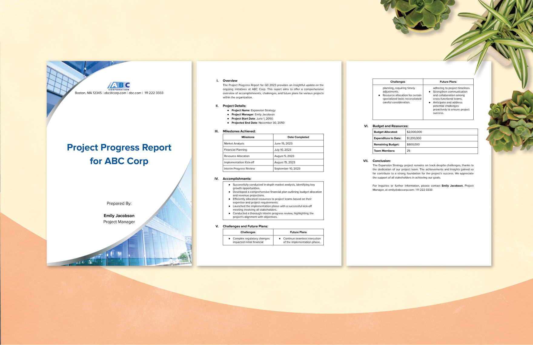 Project Progress Report Sample Template