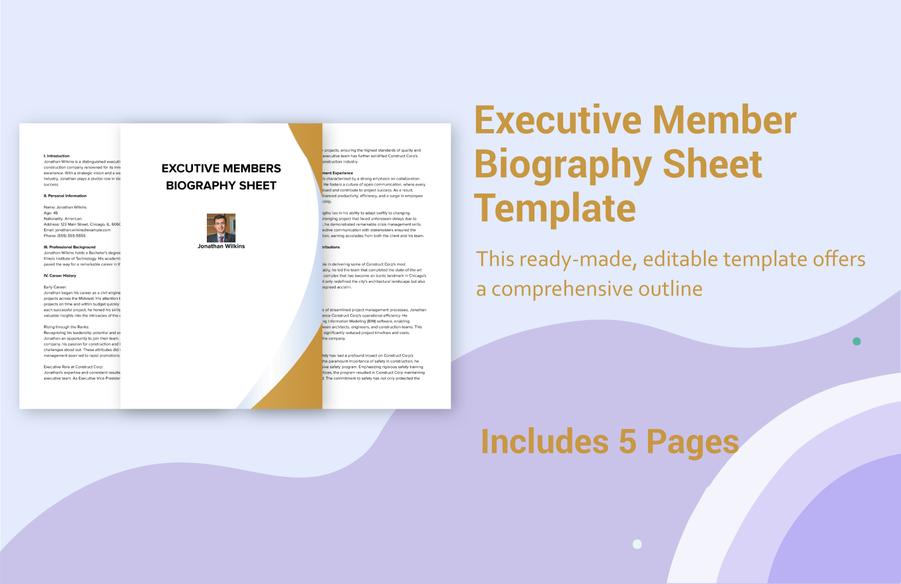 Executive Member Biography Sheet Template