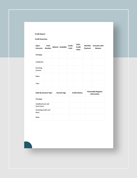 Annual Credit Report Form Template 