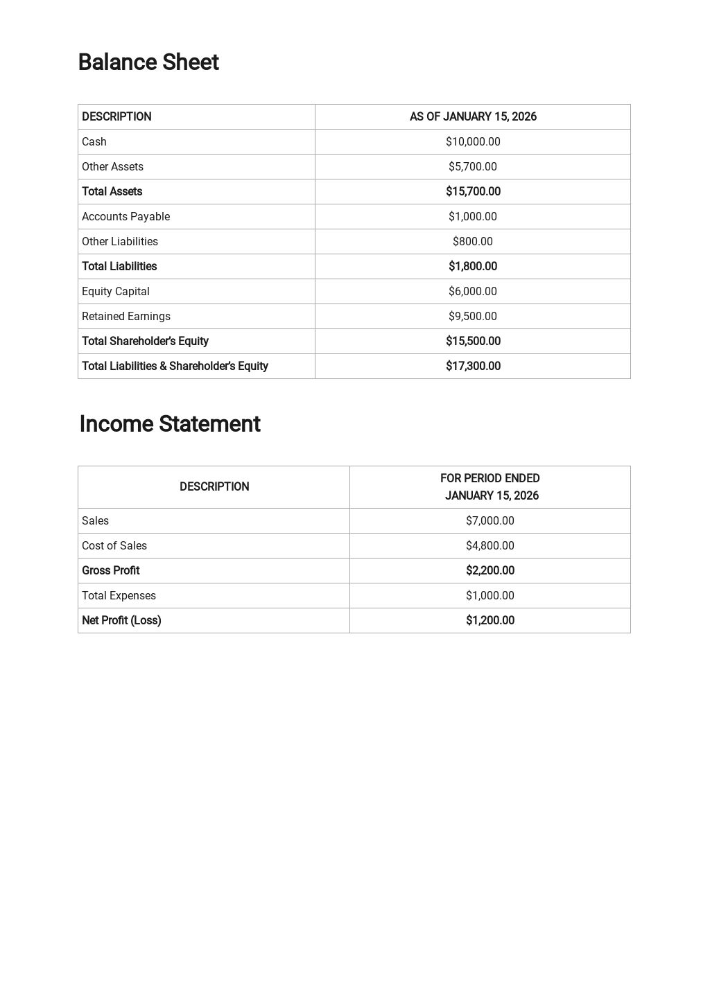 Non Profit Monthly Financial Report Template