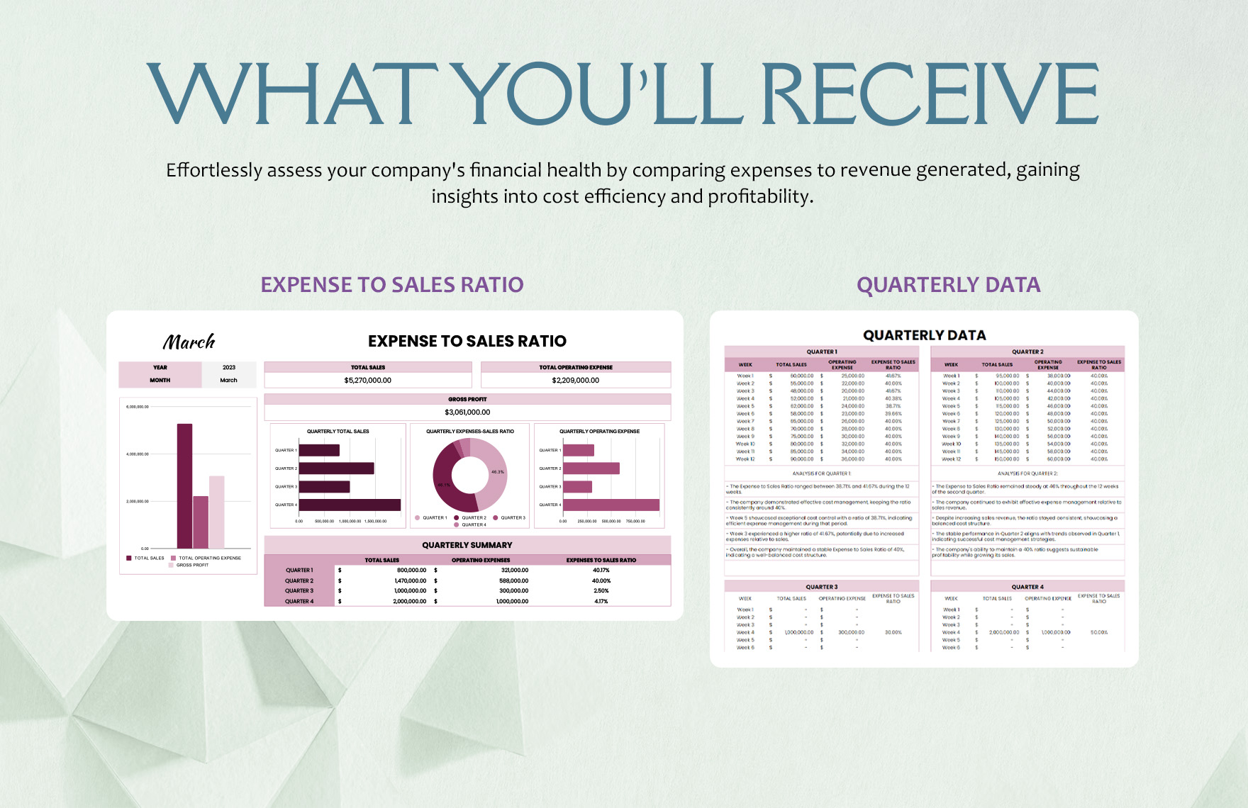 Expense to Sales Ratio Template