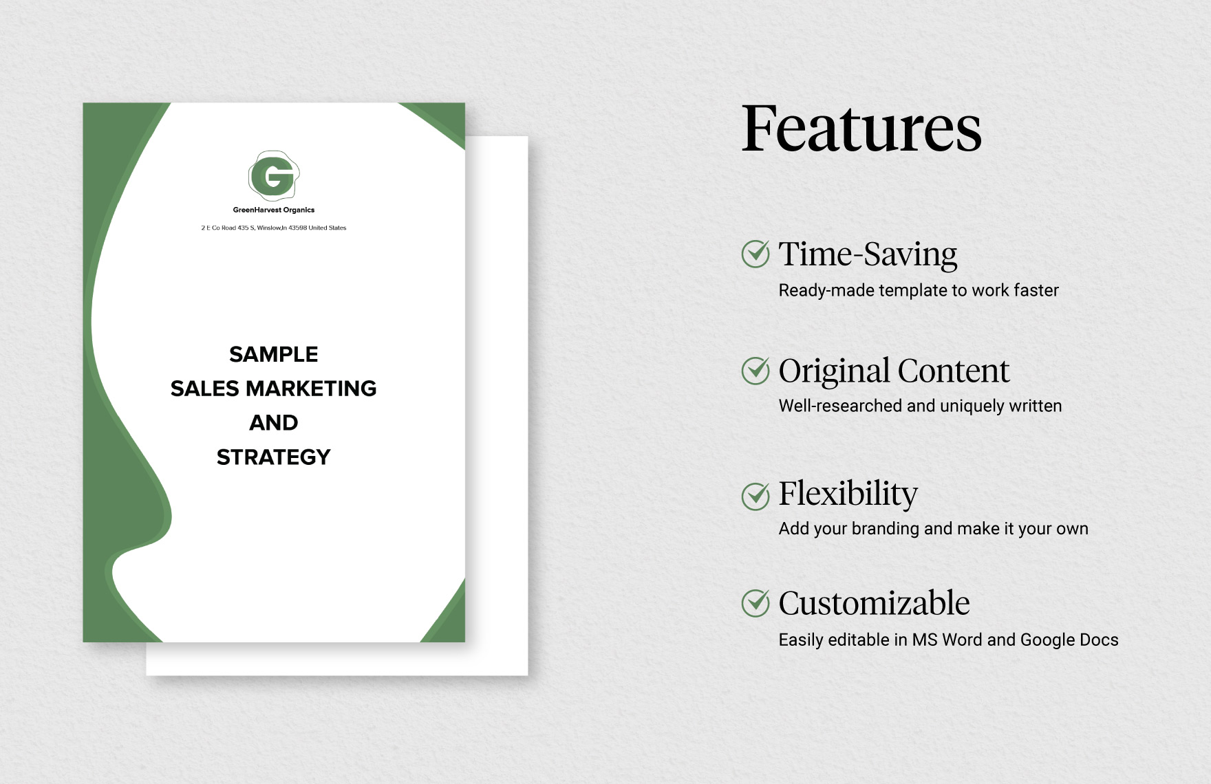 Sample Sales Marketing and Strategy Template