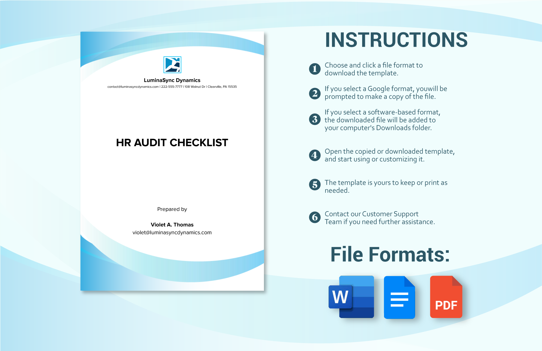 HR Audit Checklist Example Template