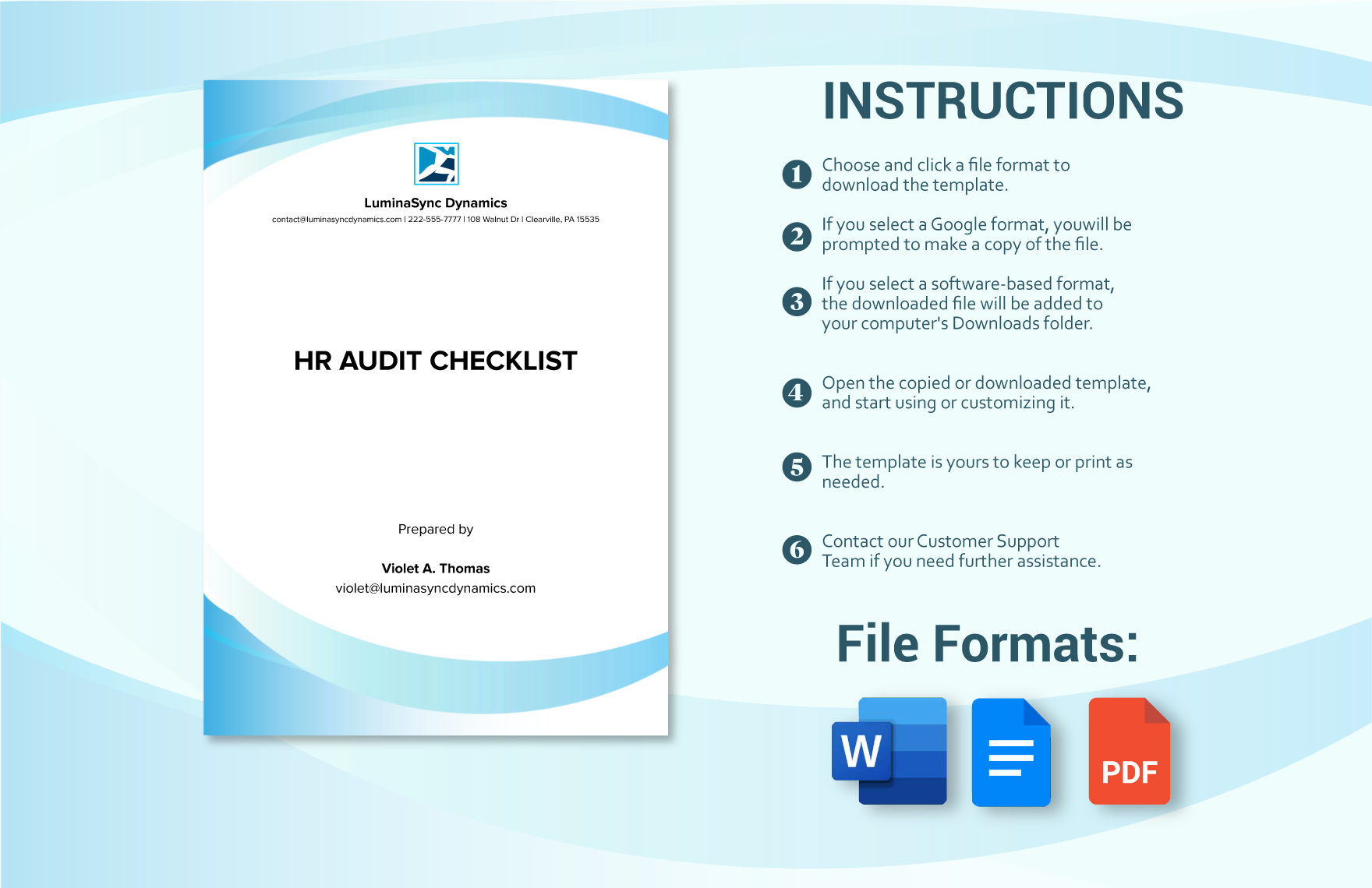 HR Audit Checklist Example Template In Word PDF Google Docs 
