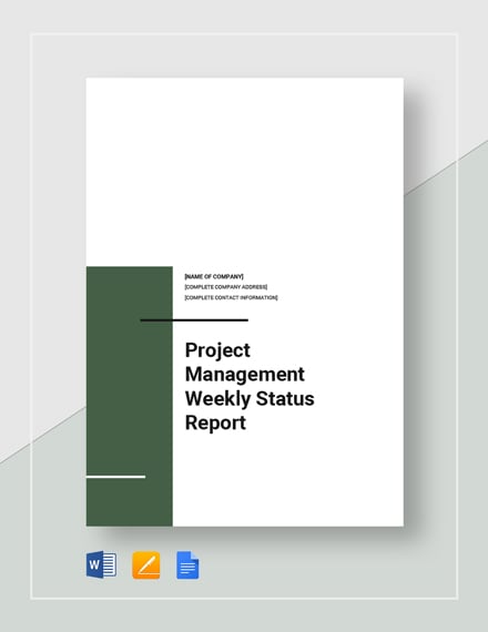 Project Management Weekly Status Report Template - Word ...