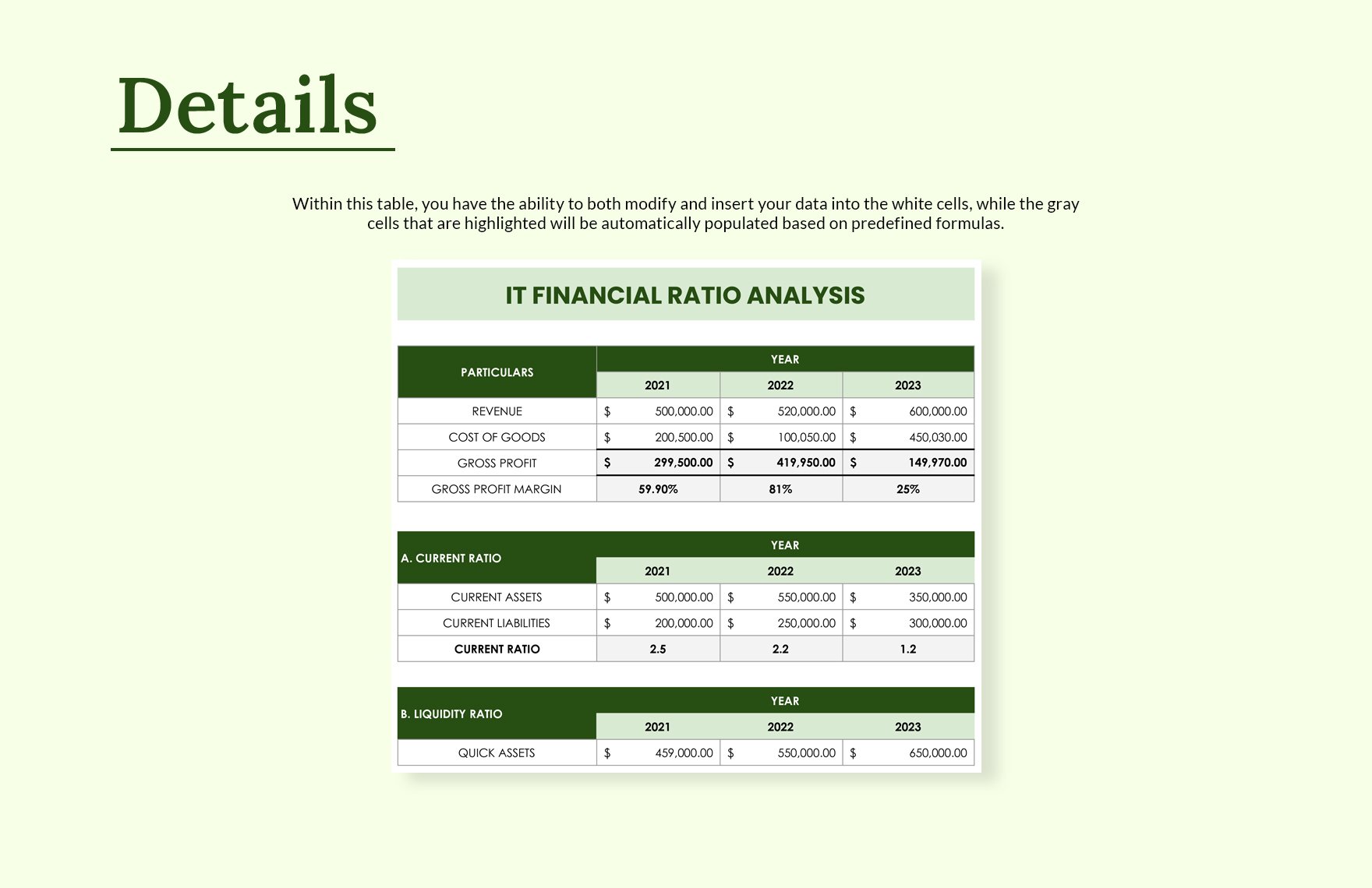 IT Financial Financial Ratio Analysis Template