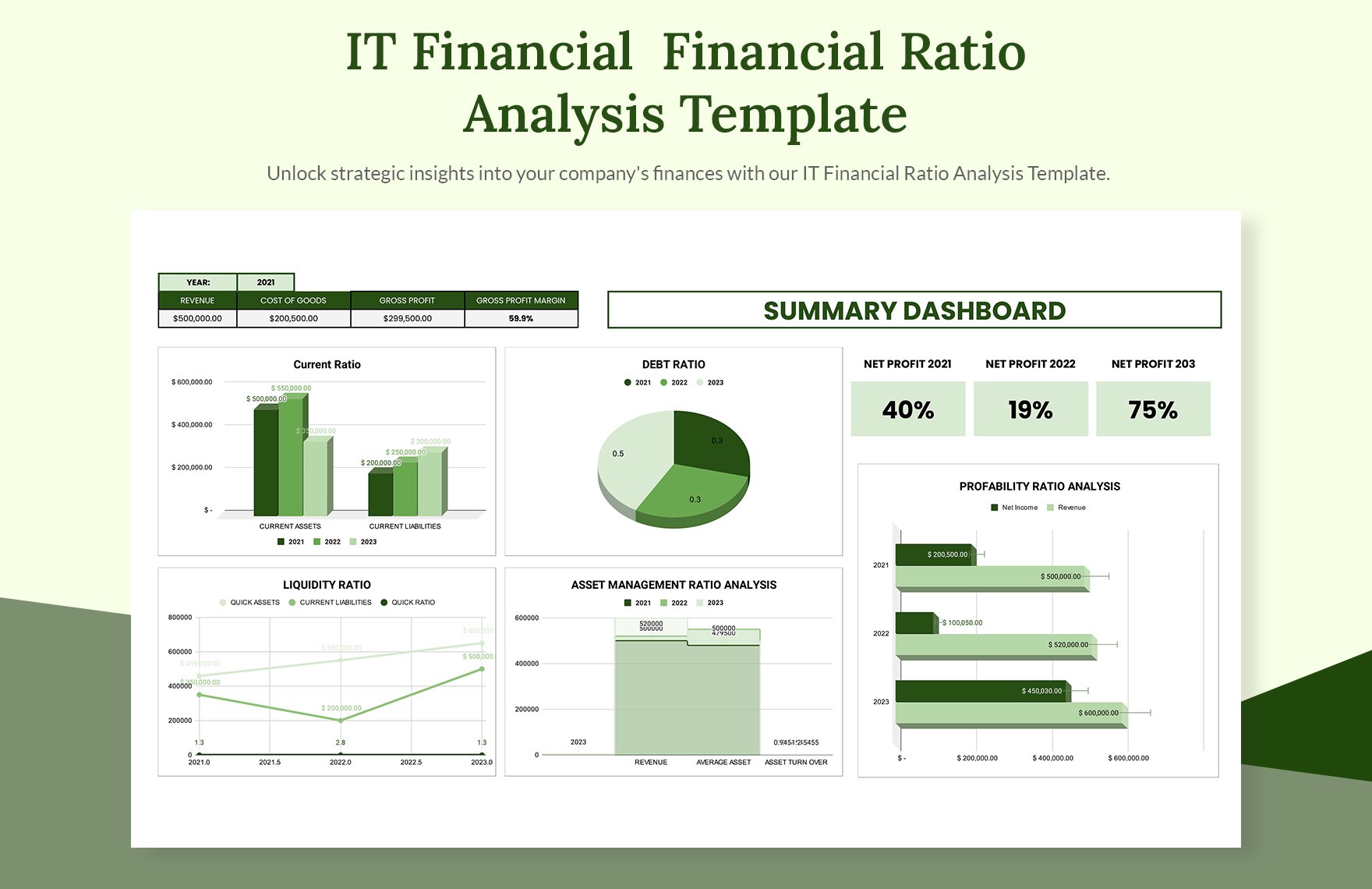 IT Financial Financial Ratio Analysis Template