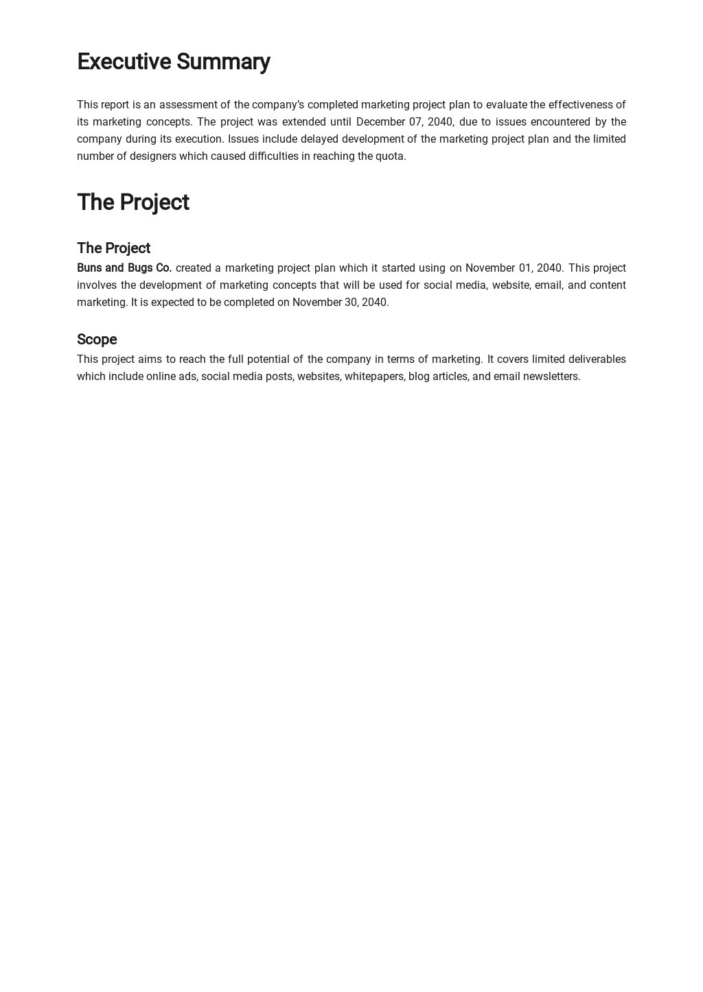 It Assessment Report Template 0811