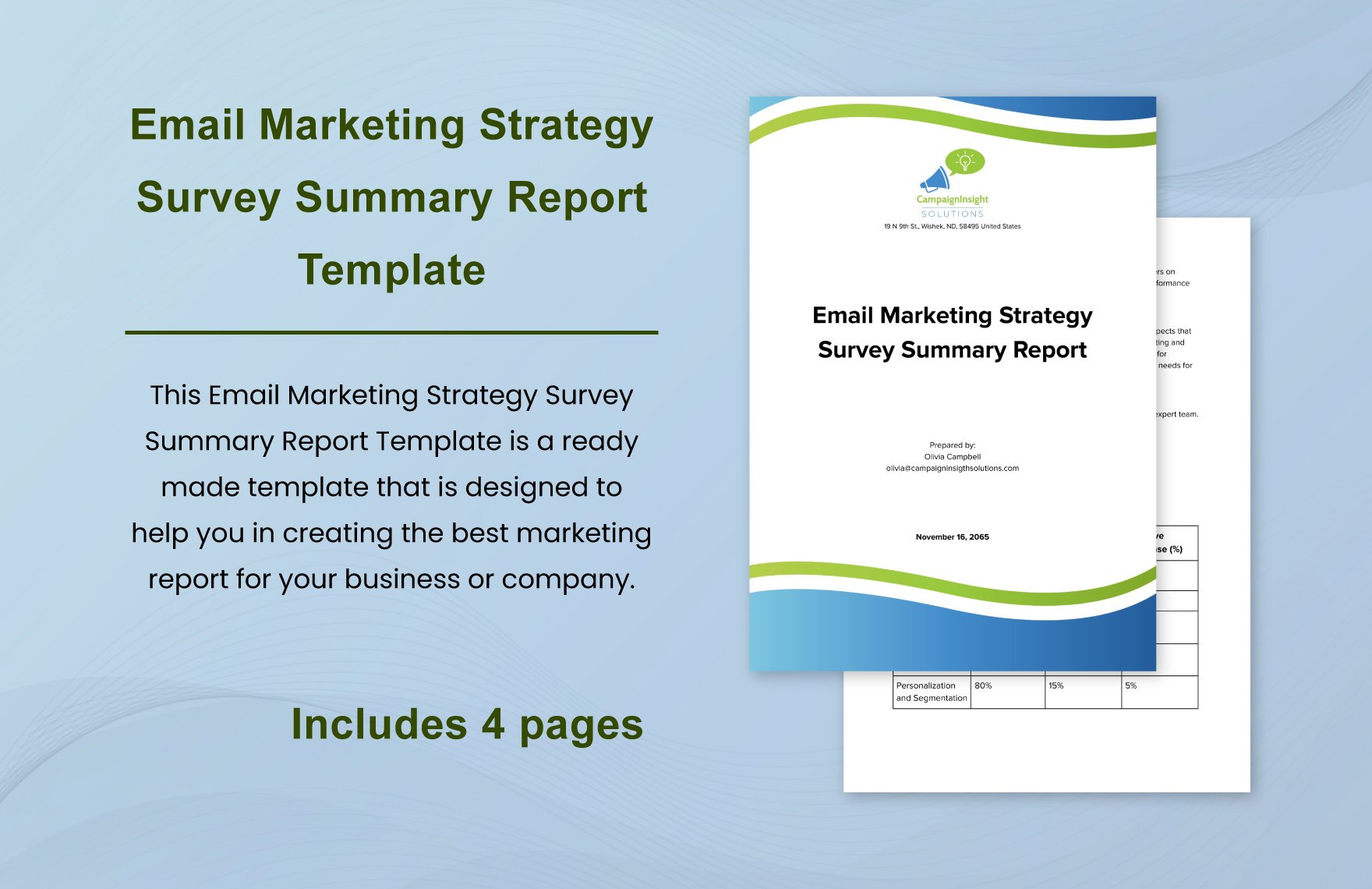 Email Marketing Strategy Survey Summary Report Template