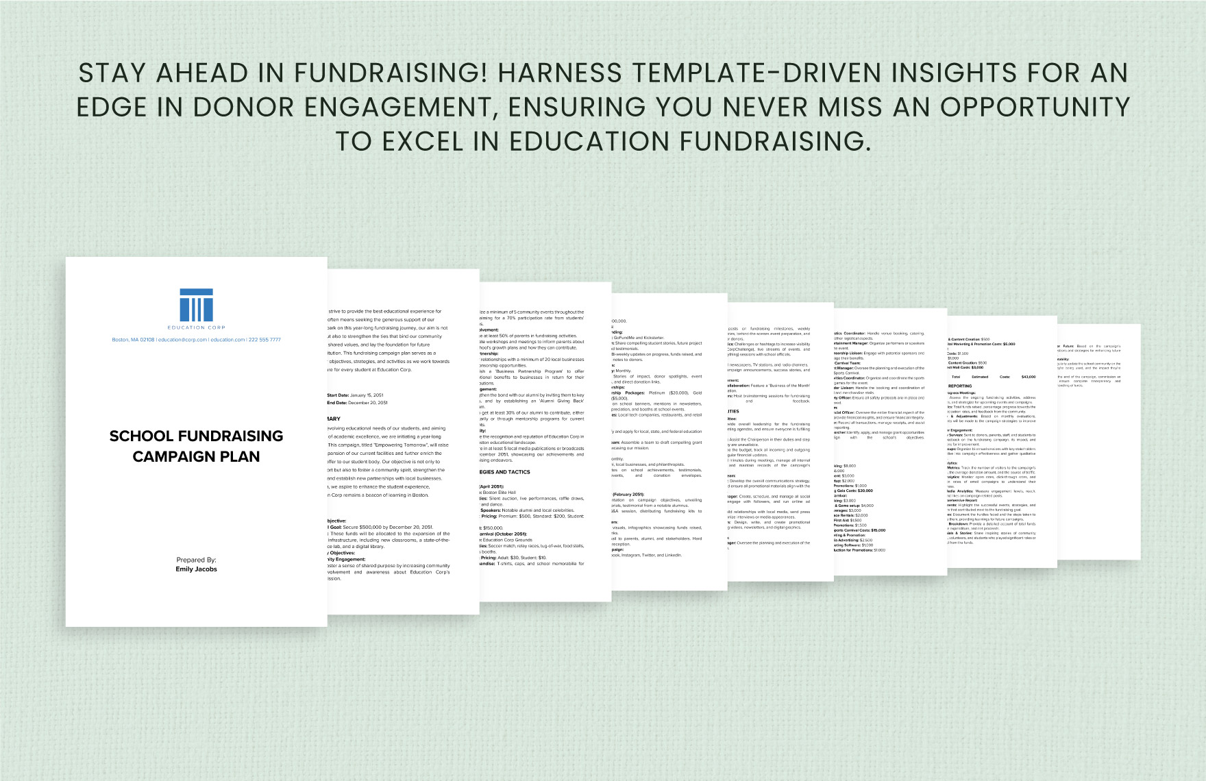 School Fundraising Campaign Plan Template