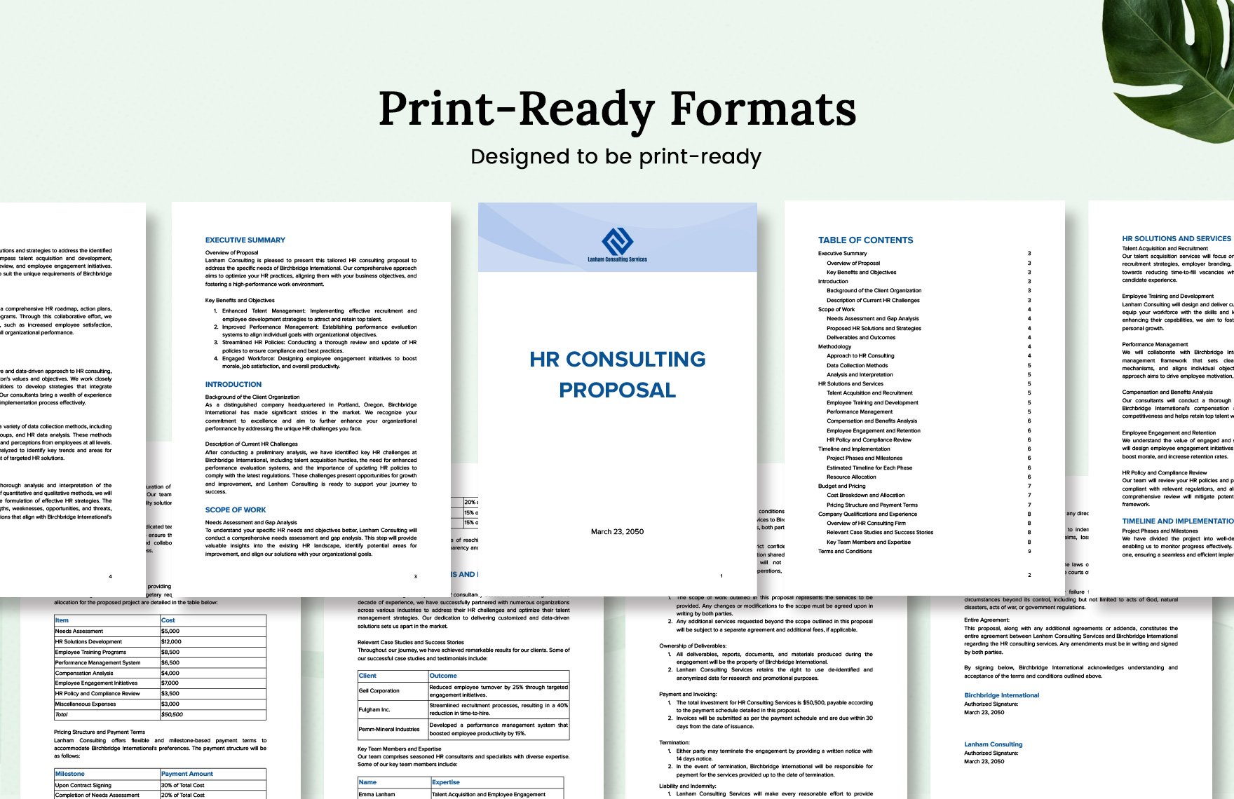 HR Consulting Proposal Template